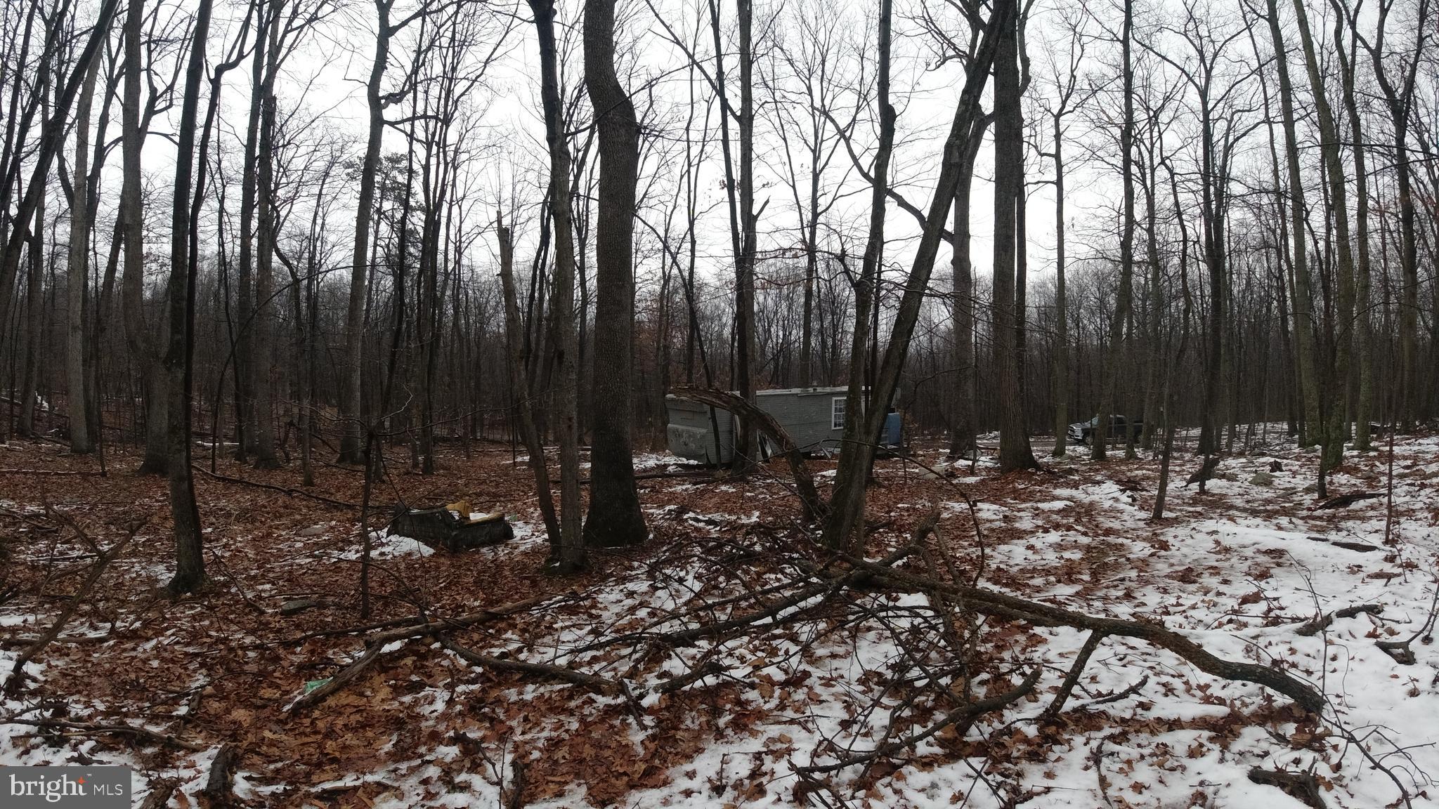 ELK HORN SUBDIVISION - Land