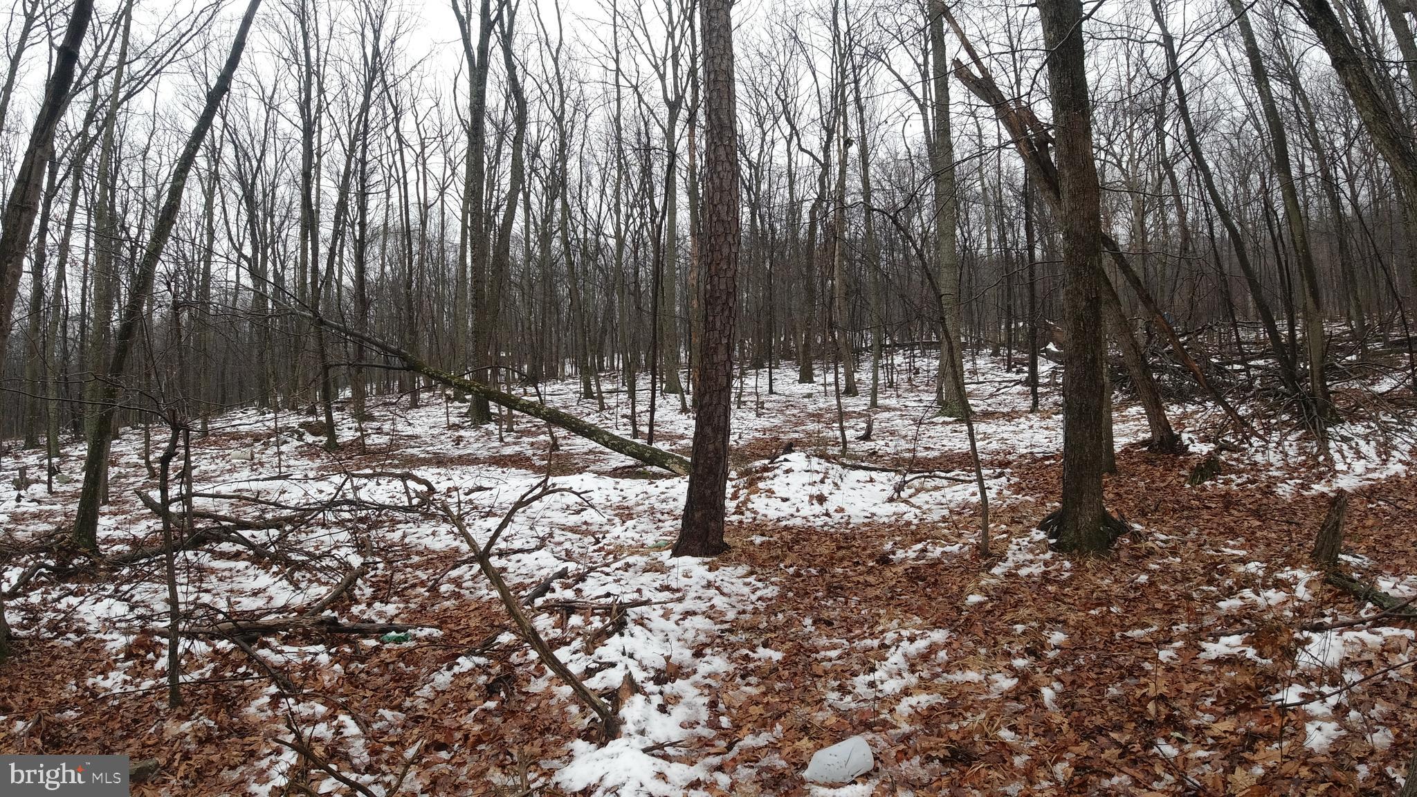 ELK HORN SUBDIVISION - Land