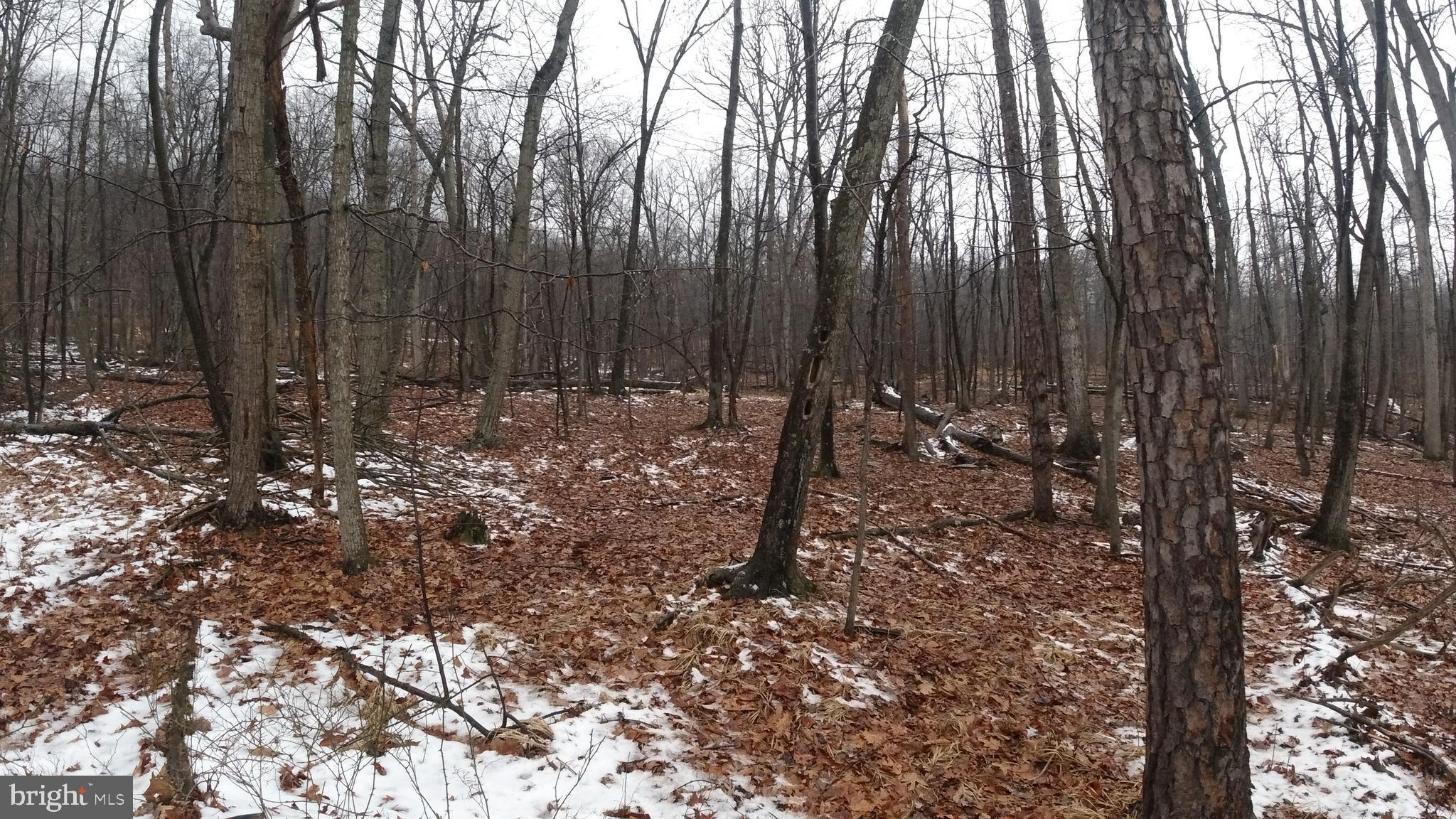 ELK HORN SUBDIVISION - Land