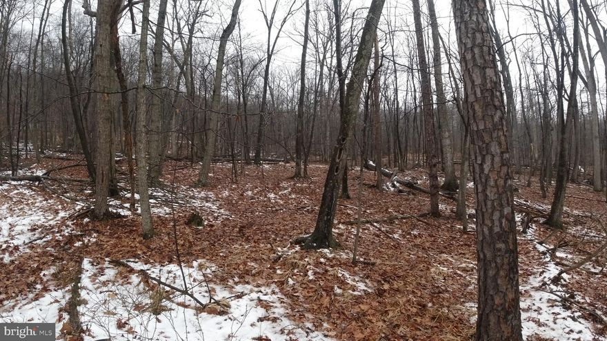 WANT YOUR OWN PIECE OF THE OUTDOORS?  THIS COMMUNITY OFFERS A PRIVATE POND, BATHHOUSE, AND ACCESS TO FRESH WATER. FOR THE HUNTERS OR OTHER OUTDOOR ENTHUSIASTS, THERE IS ACCESS TO 8000+ ACRES OF WV WILDLIFE MANAGEMENT AREA THAT IS LESS THAN 1/4 MILE AWAY FROM THIS PROPERTY.  THAT'S RIGHT, YOU ARE A 5 MINUTE WALK AWAY FROM WILD AND WONDERFUL. THE PROPERTY CONSISTS OF TWO ADJOINING LOTS (116 AND 117). TRAILER IS READY FOR REMODEL AND CONVEYS WITH THE PROPERTY BUT DOES NOT HAVE A TITLE. PLEASE DO NOT ENTER THE TRAILER.