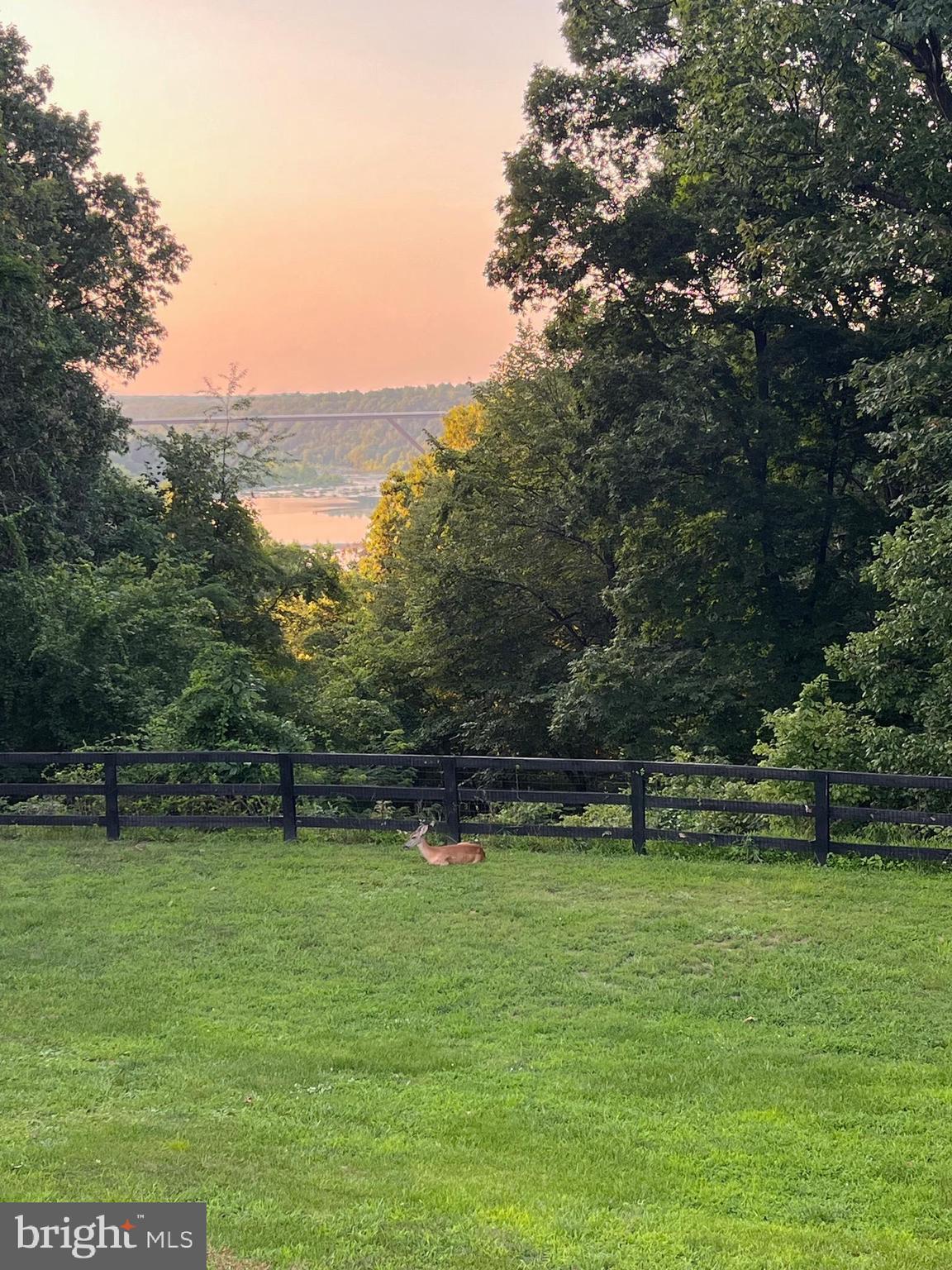 SHENANDOAH NORTH - Residential