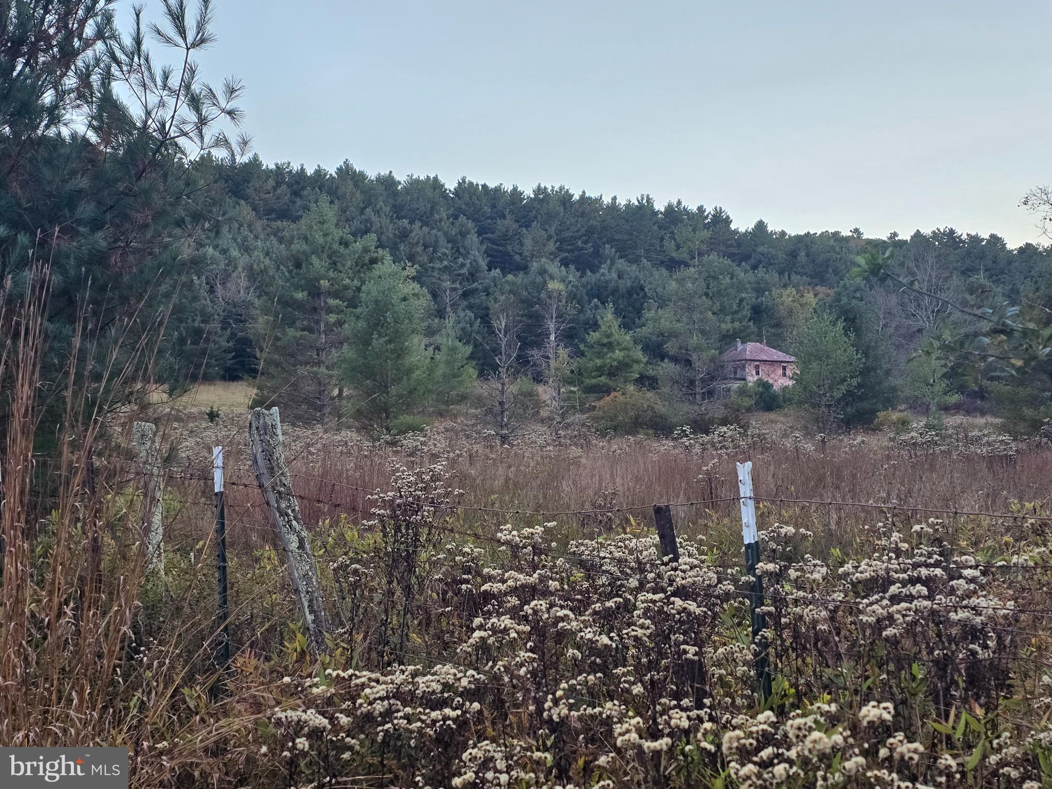 BLACKTHORN MOUNTAIN ESTATES - Residential