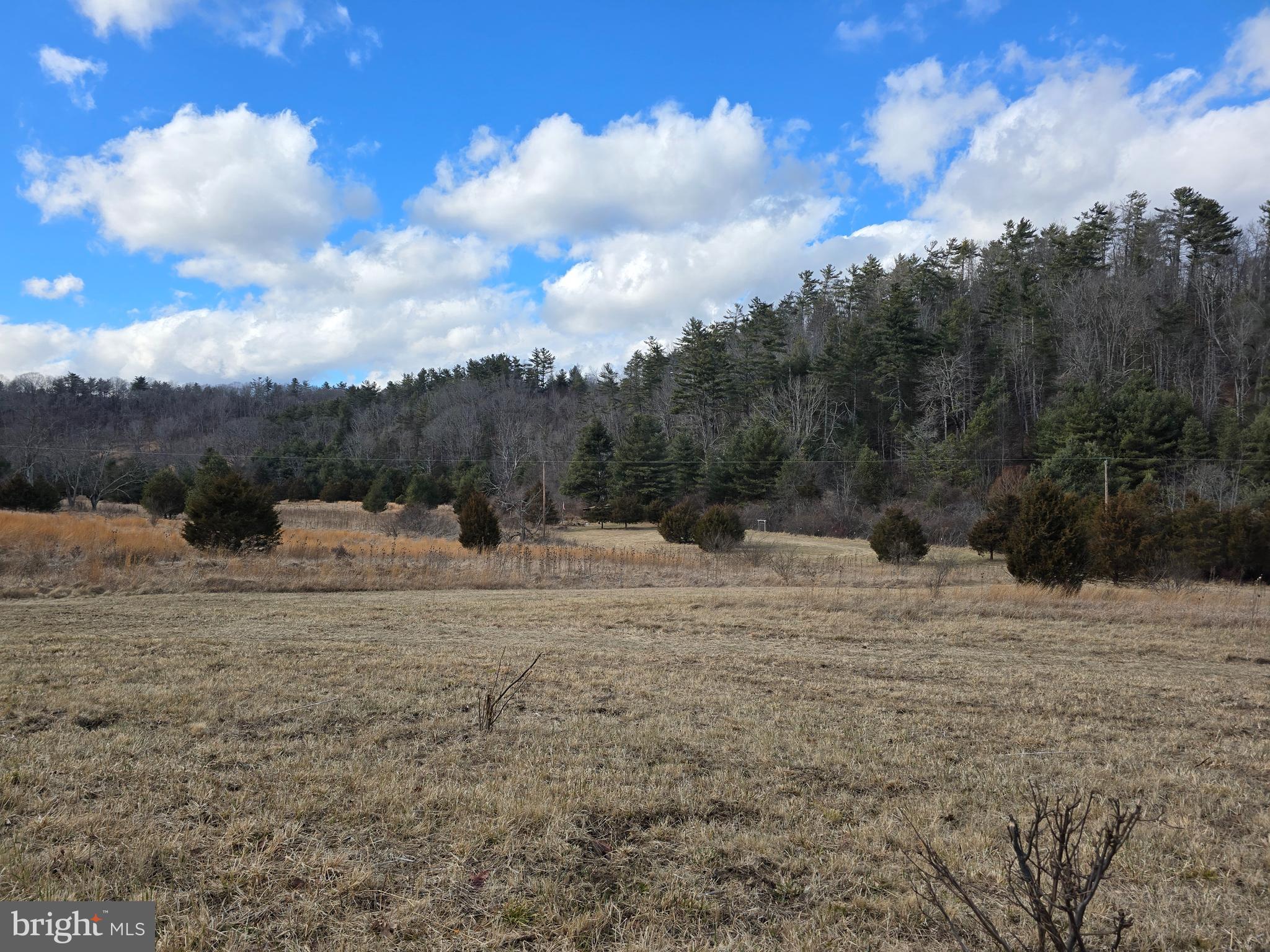 BLACKTHORN MOUNTAIN ESTATES - Residential