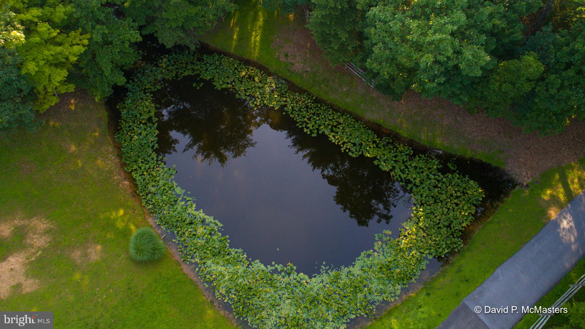 ALLEN DISTRICT - Residential