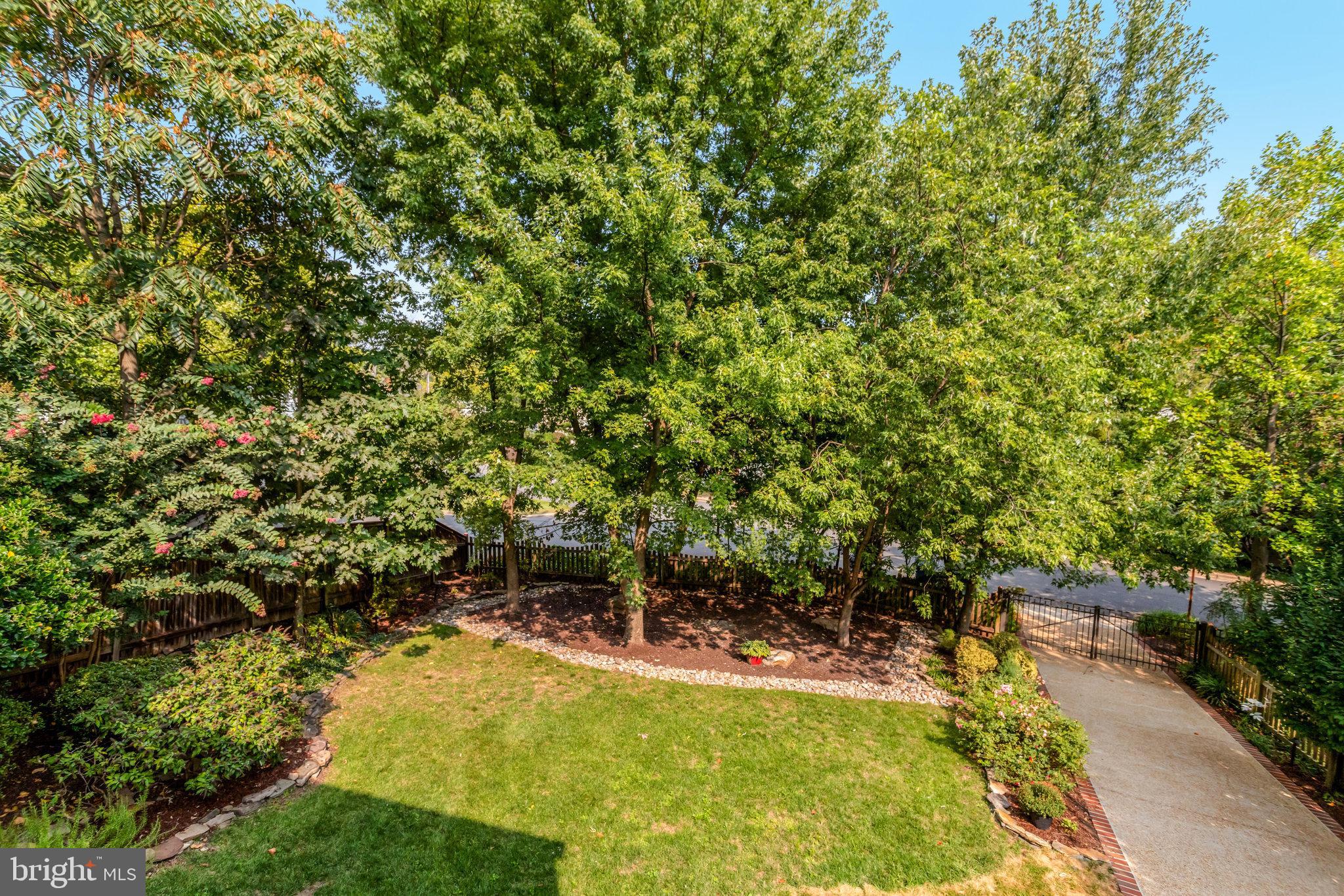 BEVERLY HILLS - Residential