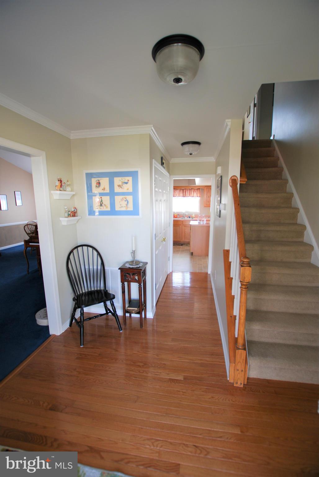 SMOKETREE - Residential