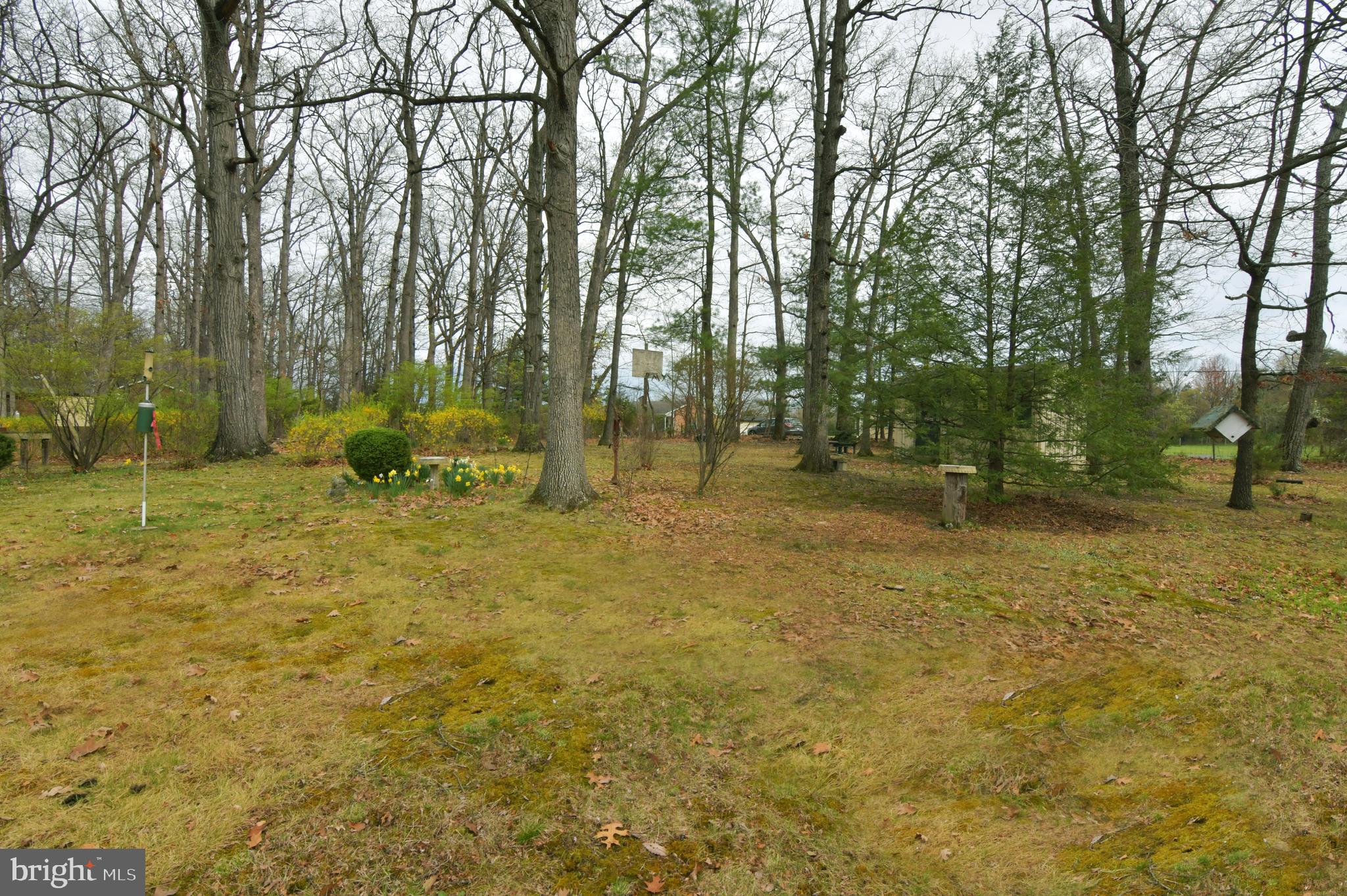 GREENWOOD HEIGHTS - Residential