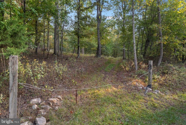 DRIFTWOOD DRIVE, GERRARDSTOWN, WV 25420 - Image a57ccc6a9c4e3b32cf01620b3c7dae30/1963829337