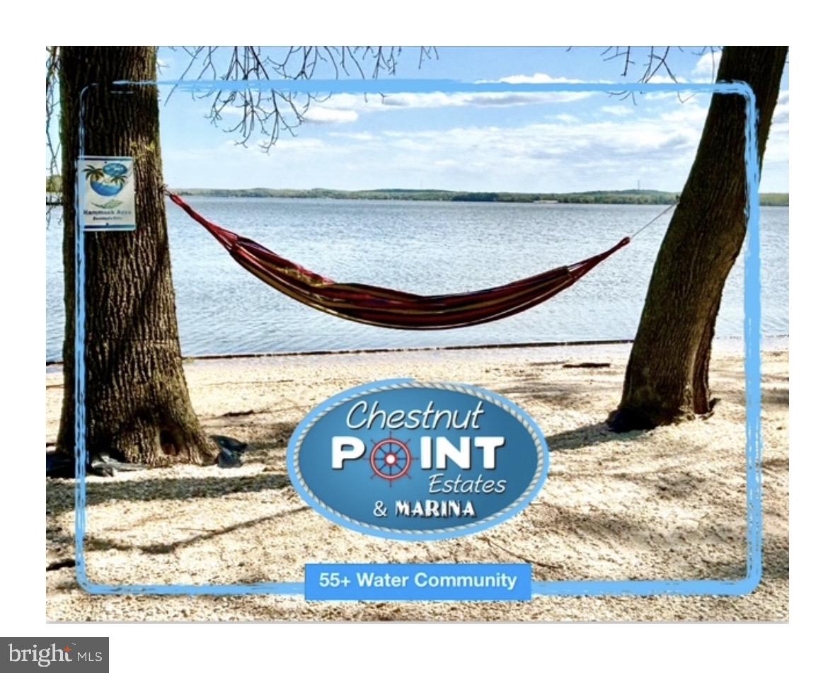 CHESTNUT POINT ESTATES & MARINA - Residential