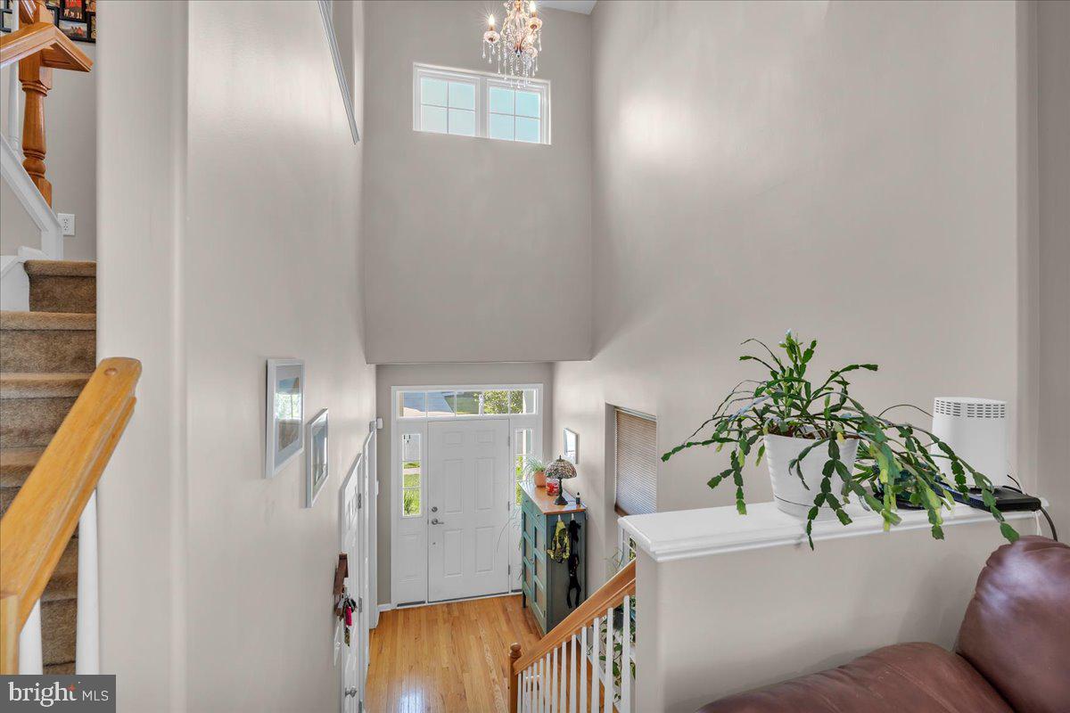 58 MEADOW CIRCLE