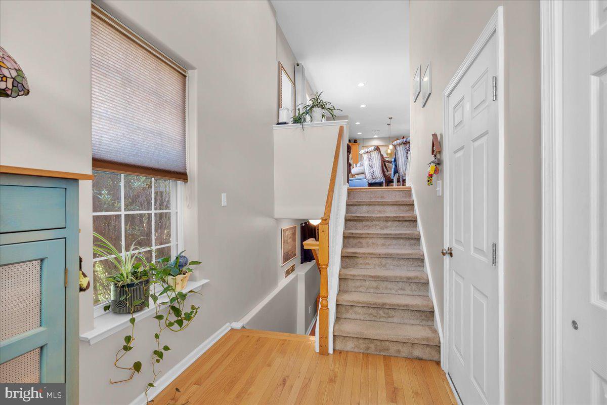 58 MEADOW CIRCLE