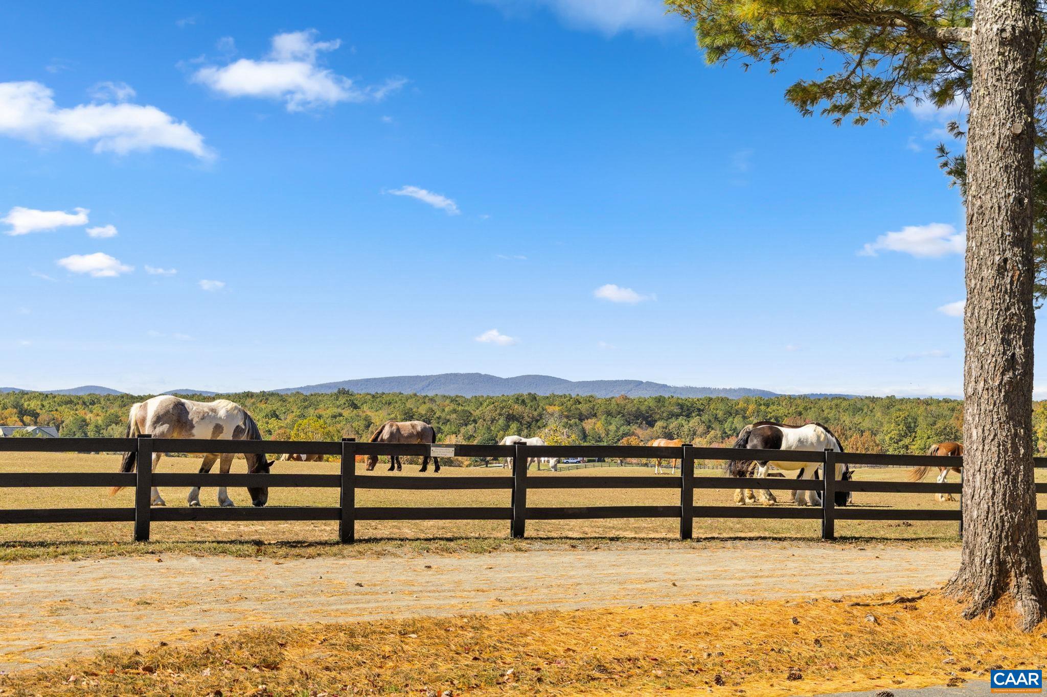 SHENANDOAH CROSSING - Residential