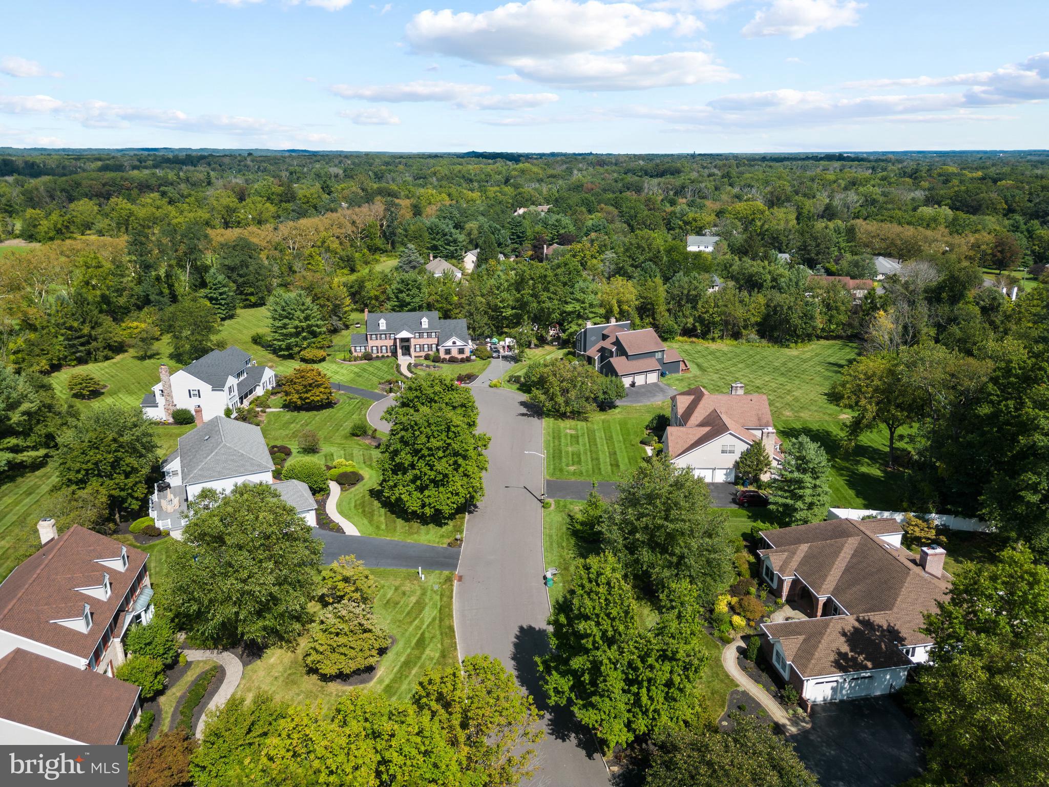 4 HEDGE ROW