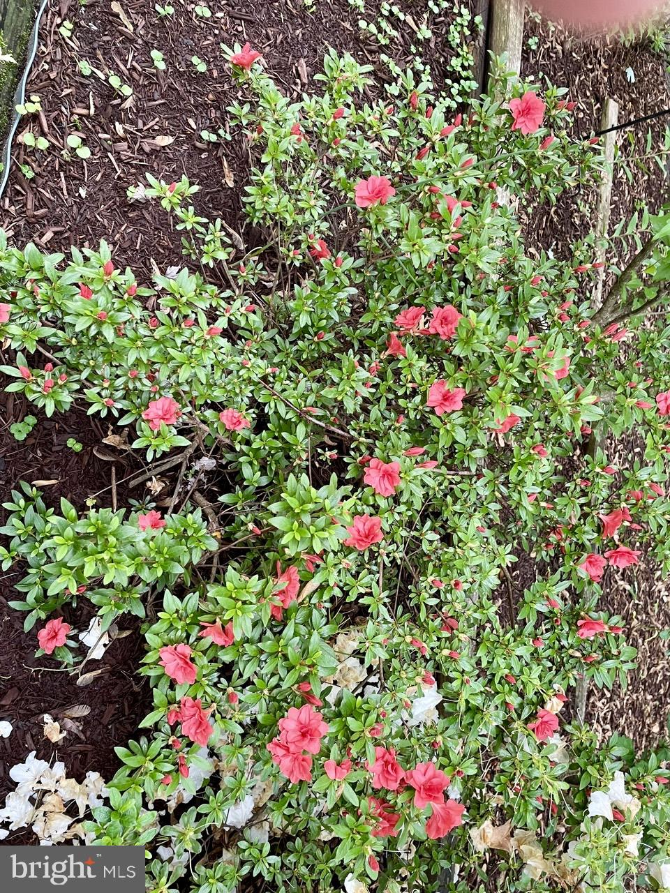 RIDGE VIEW ESTATES - Residential