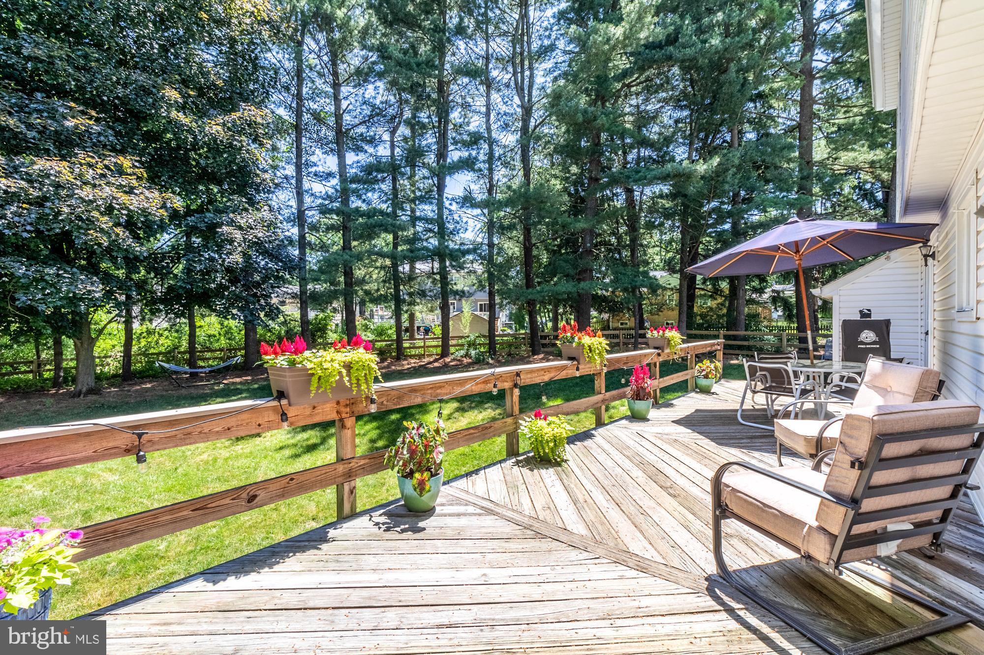 SPRINGDALE - Residential