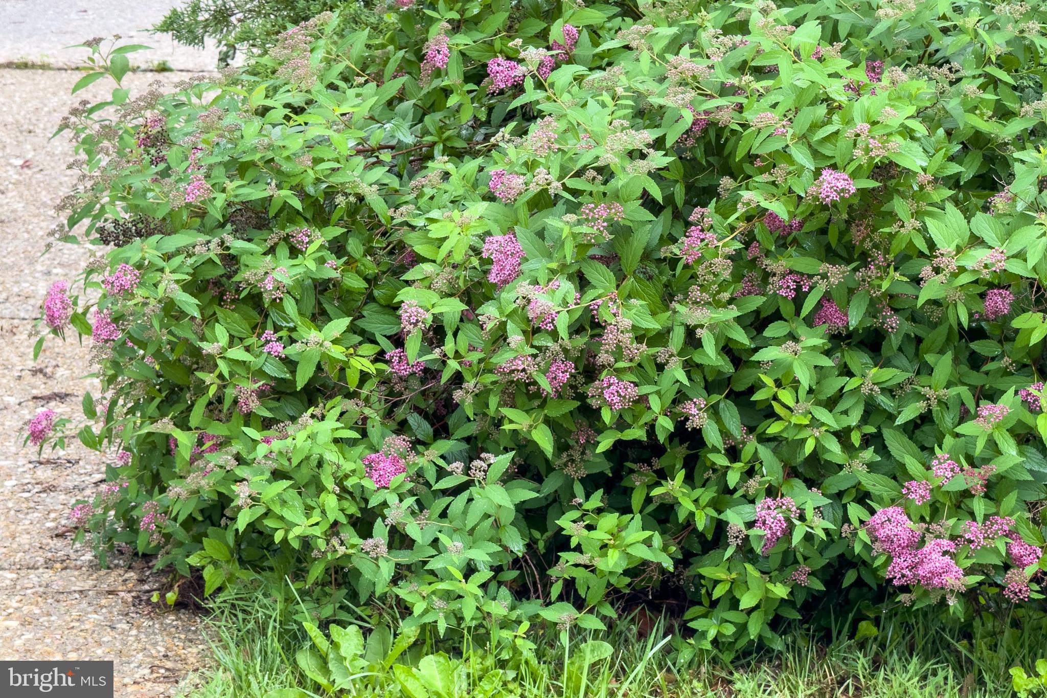 CANTERBURY WOODS - Residential