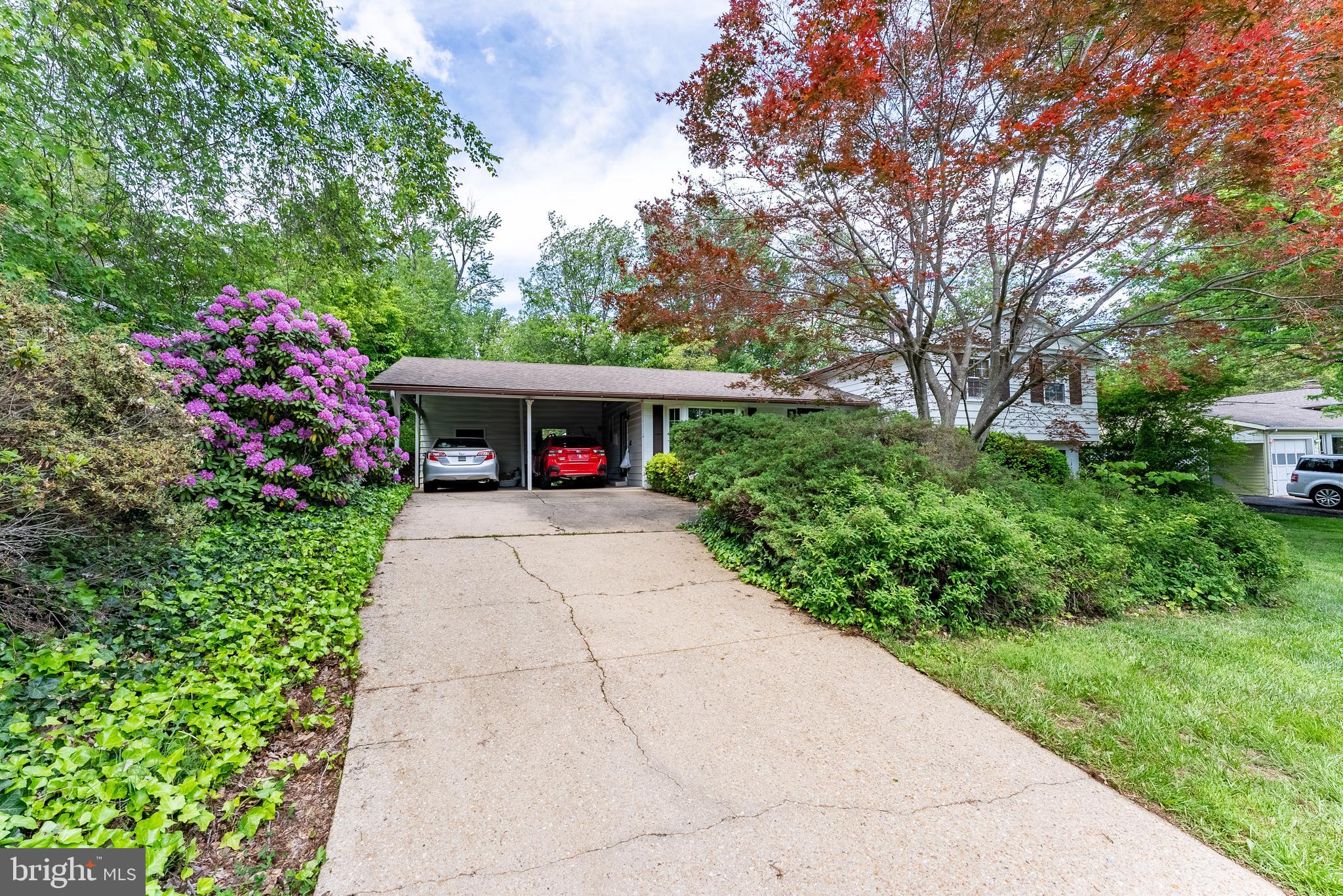 CANTERBURY WOODS - Residential