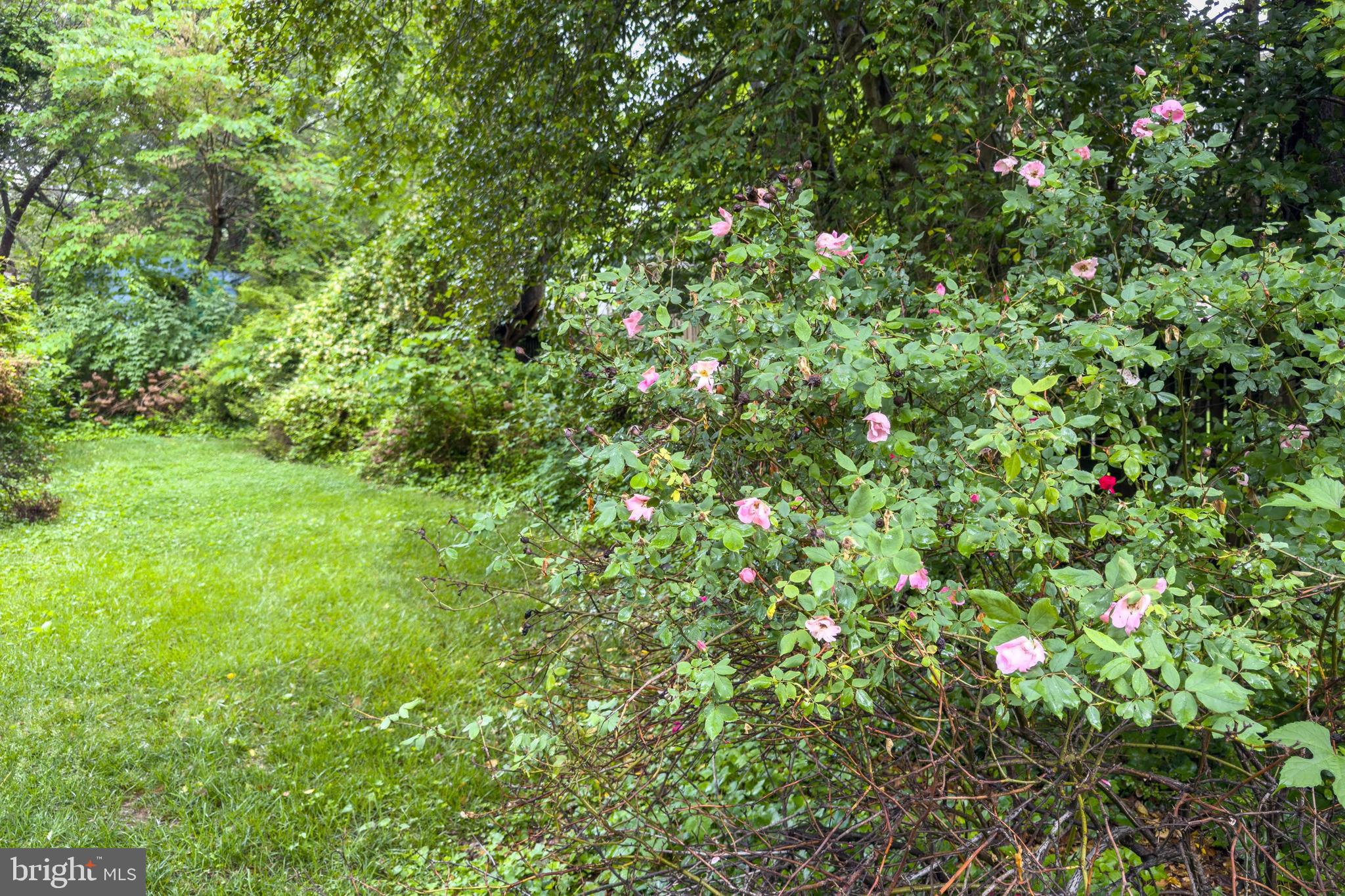 CANTERBURY WOODS - Residential