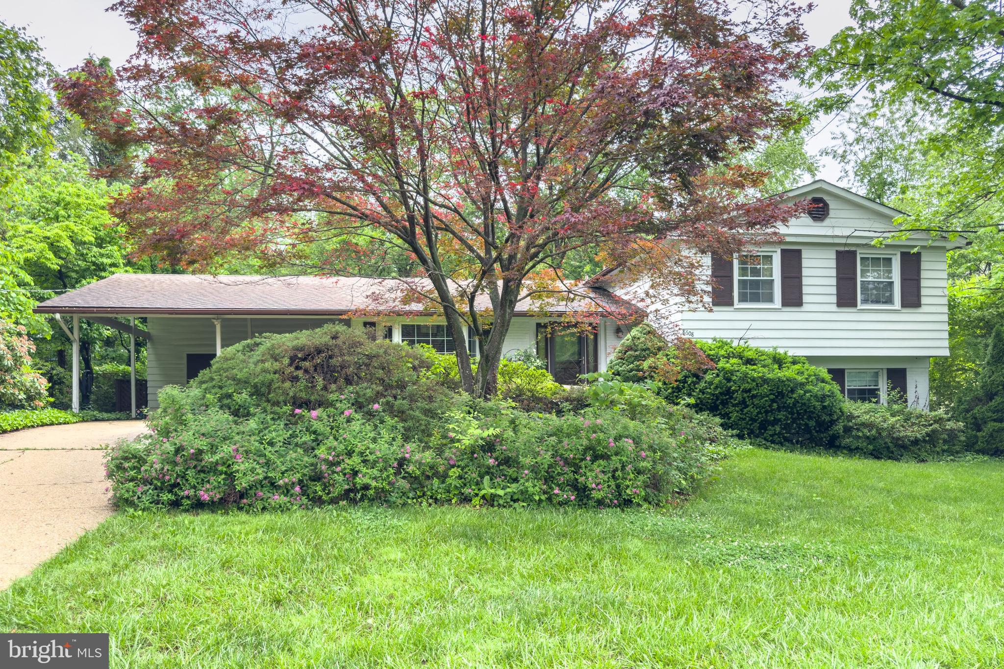 CANTERBURY WOODS - Residential