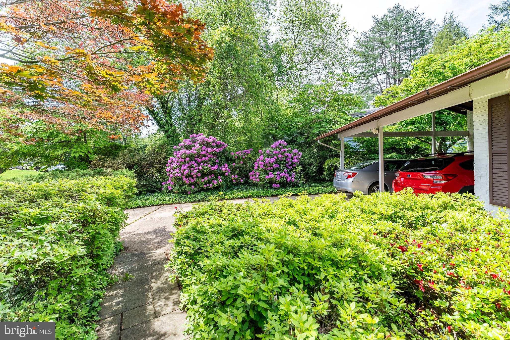 CANTERBURY WOODS - Residential