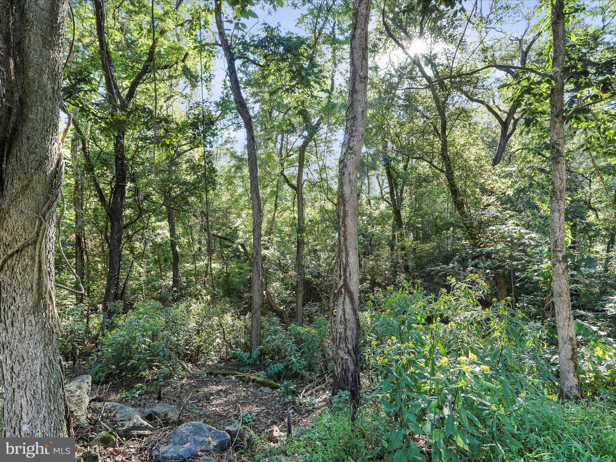 SHANNONDALE - Residential