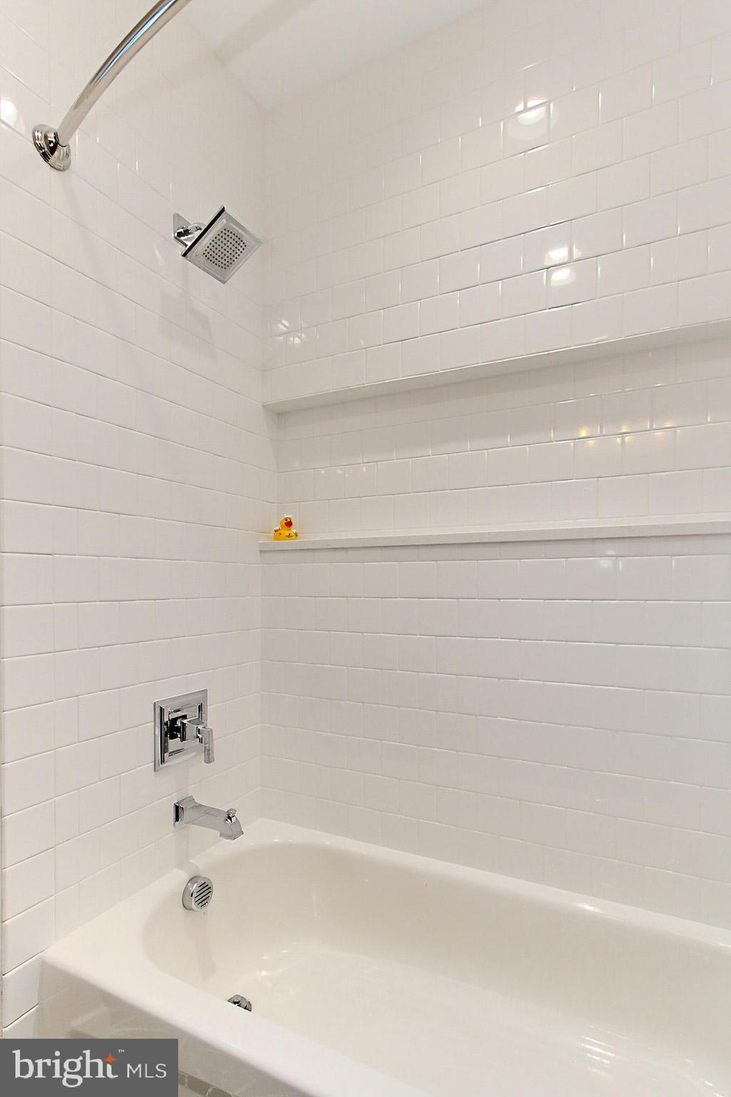 VIRGINIA FOREST - Residential