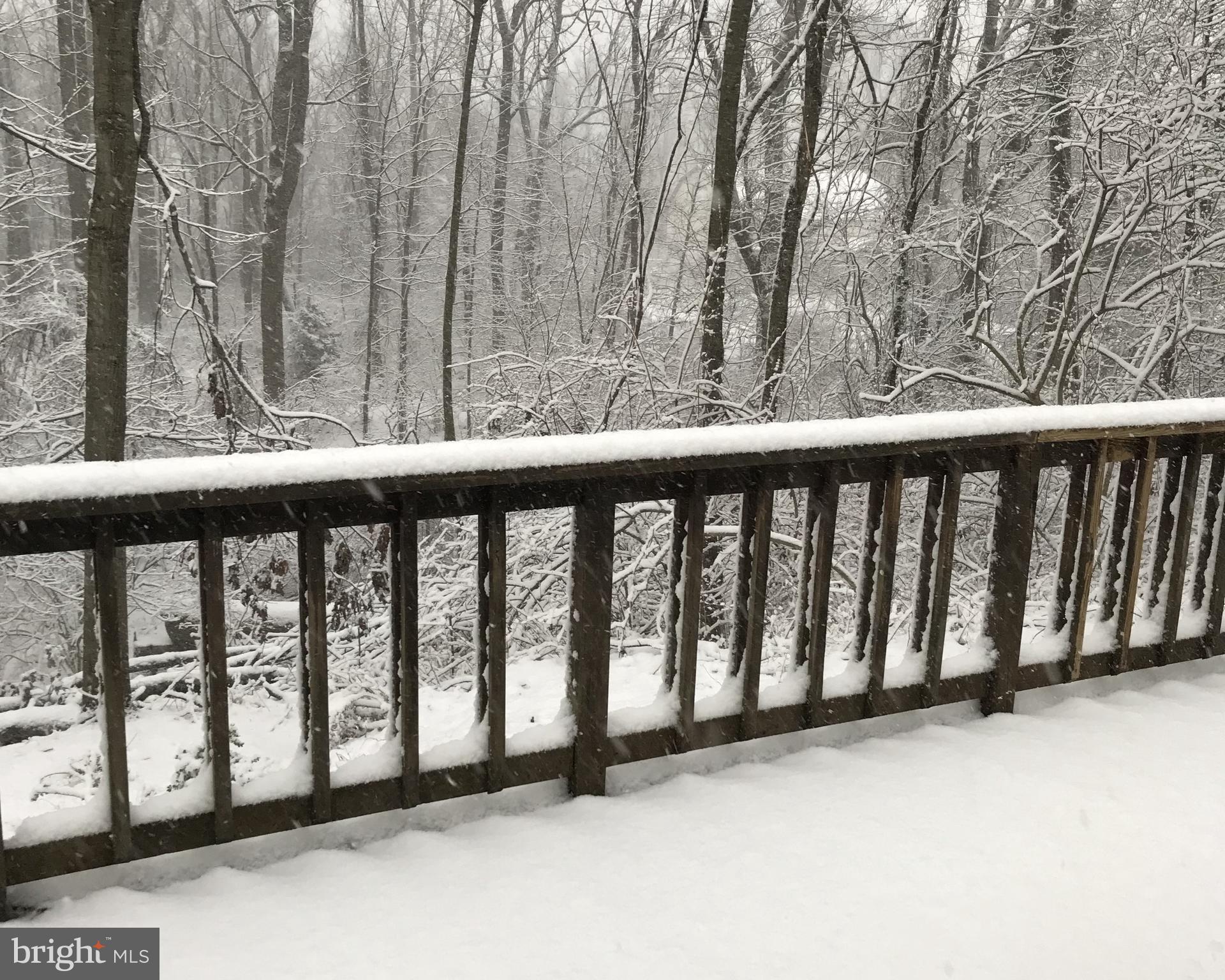 HOLLY HILLS - Residential