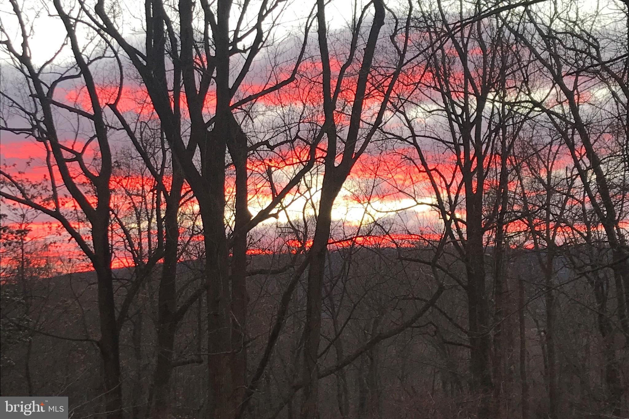 HOLLY HILLS - Residential