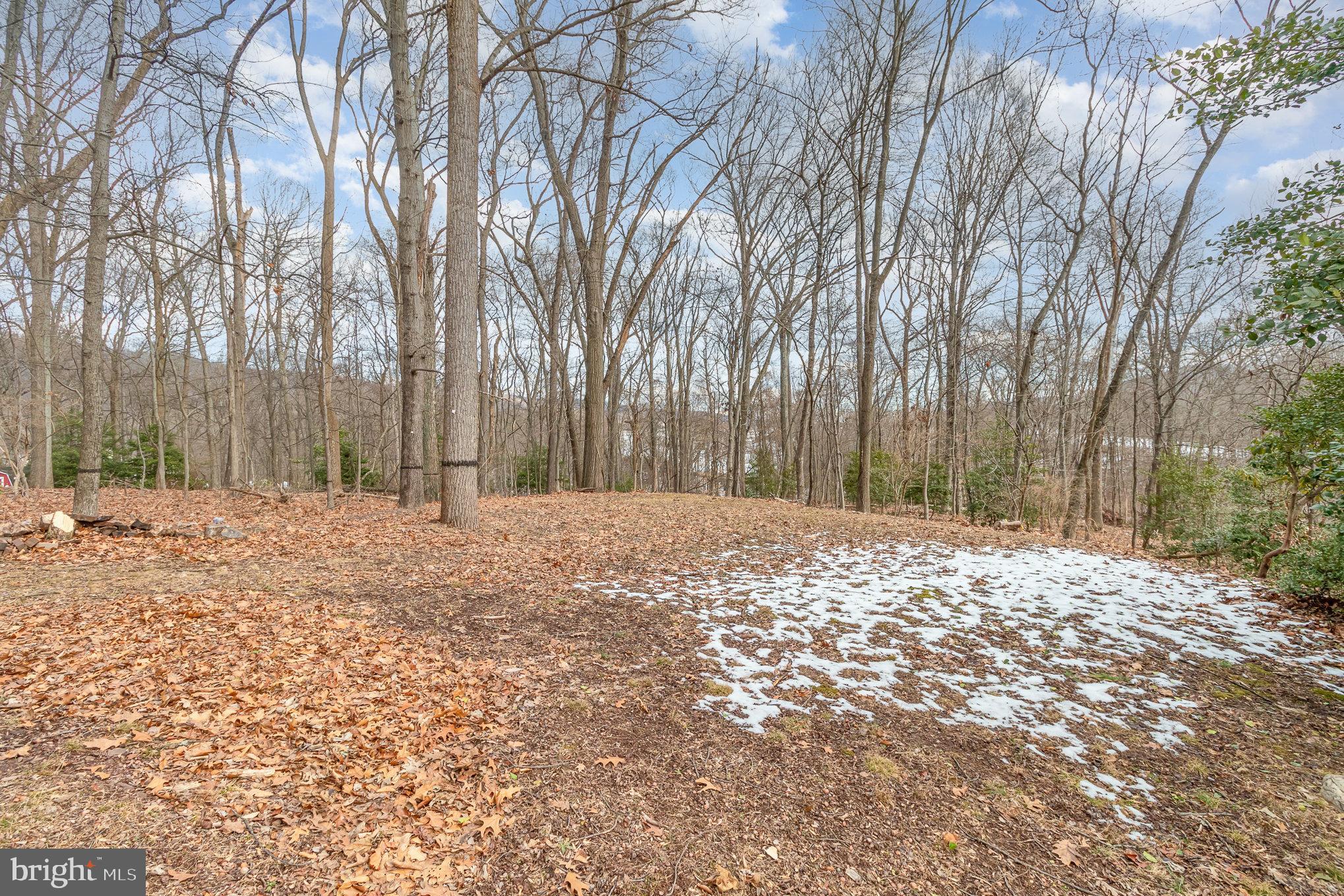 HOLLY HILLS - Residential