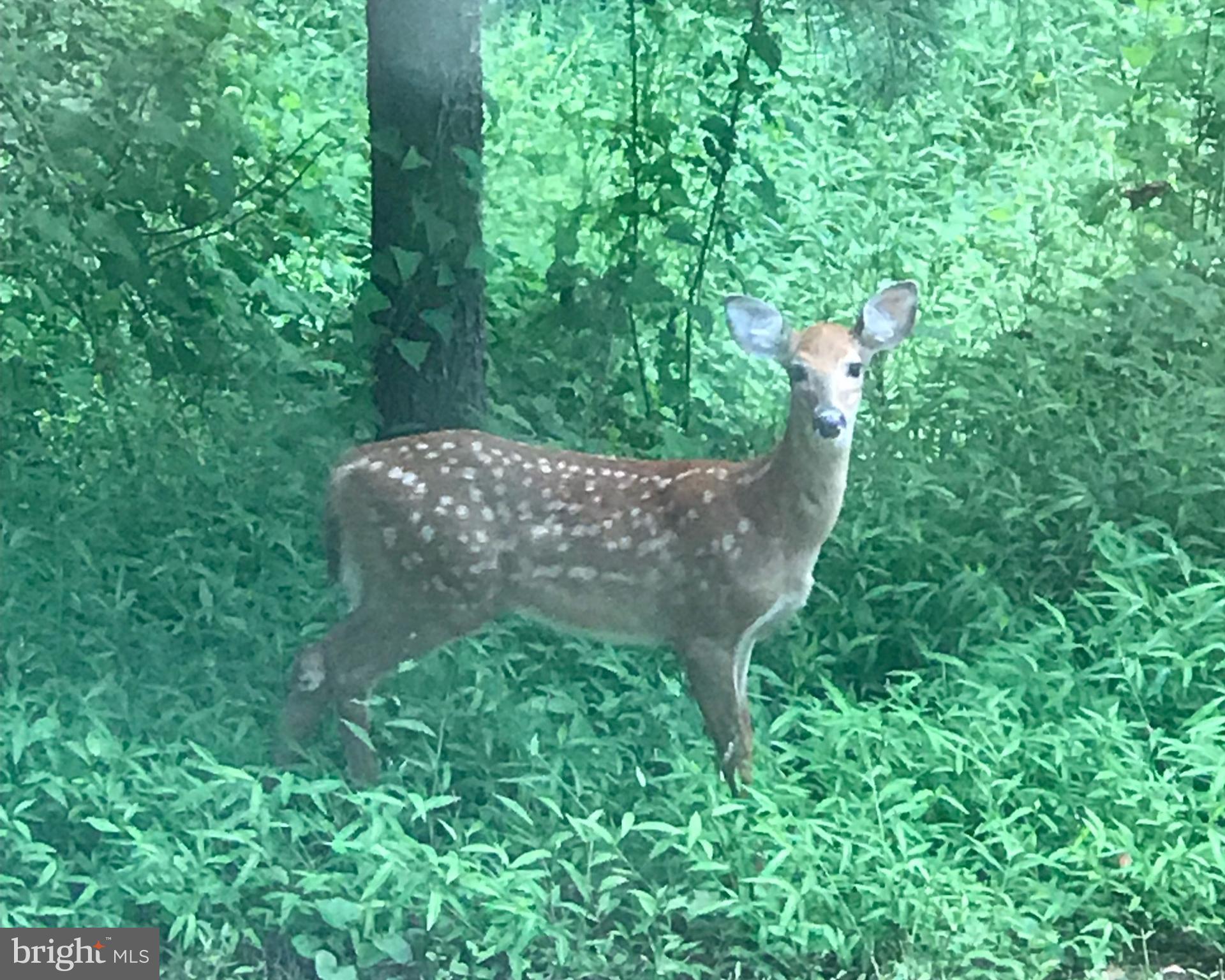 HOLLY HILLS - Residential