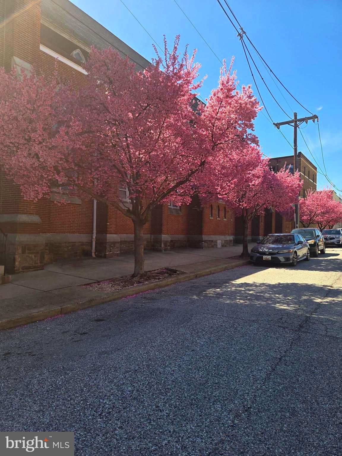 FEDERAL HILL HISTORIC DISTRICT - Residential