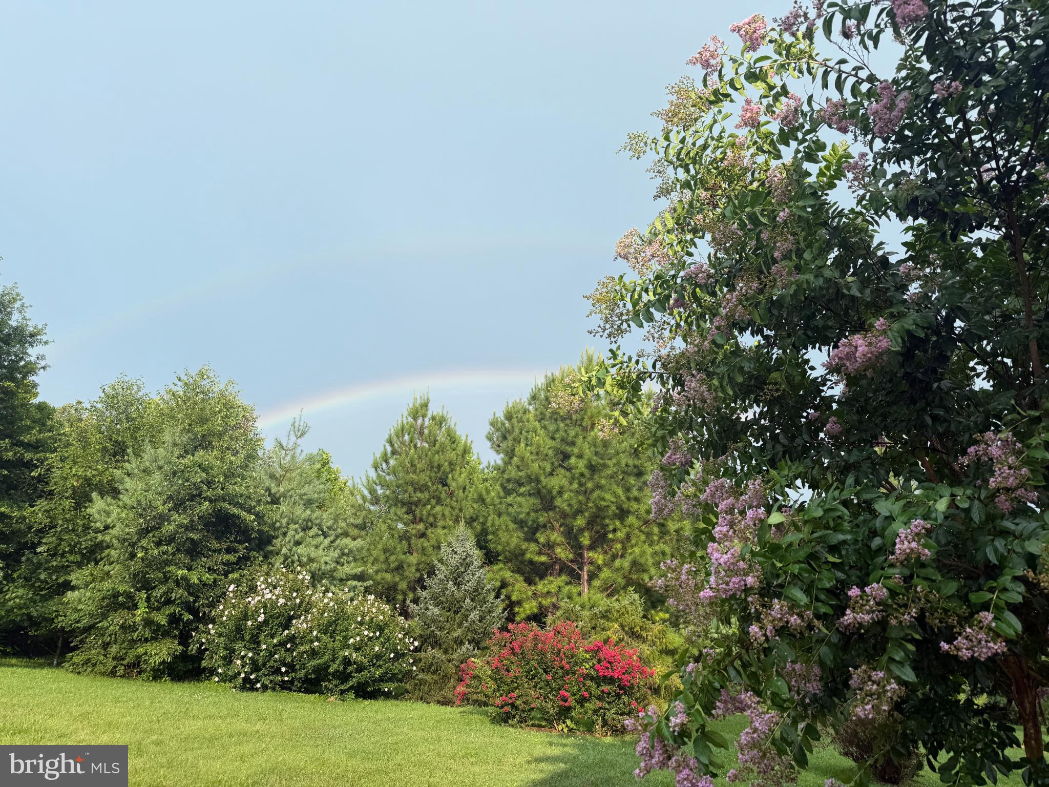 HISTORIC SELMA ESTATES - Residential
