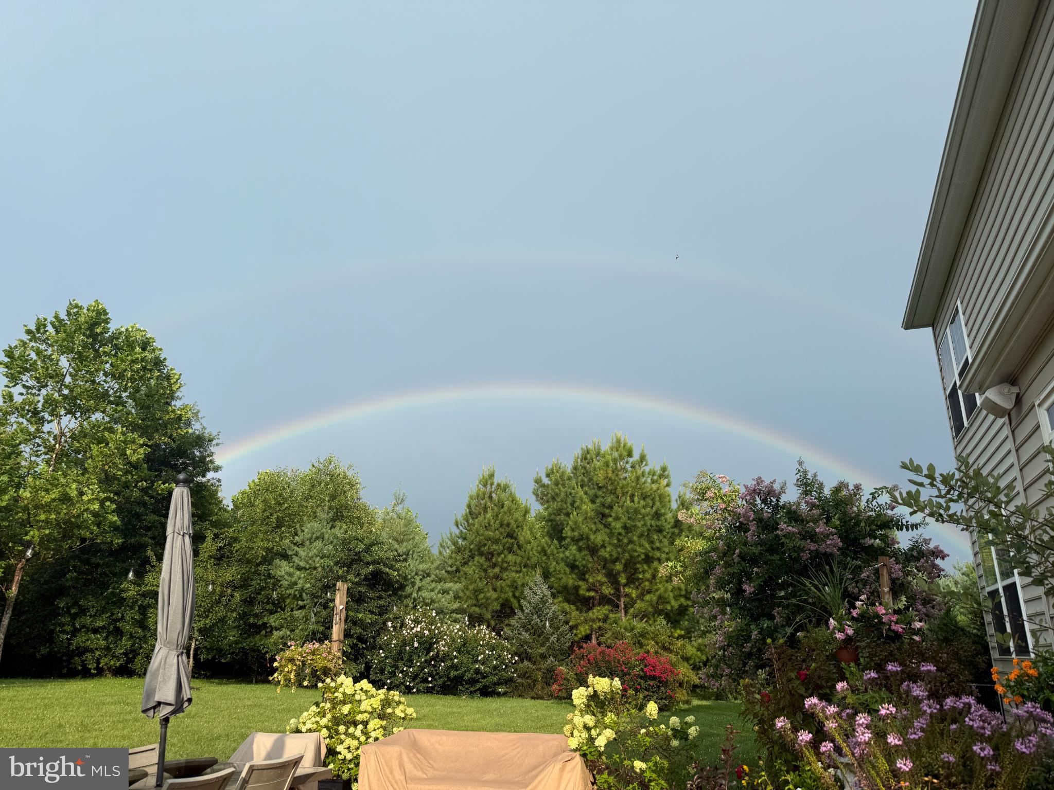 HISTORIC SELMA ESTATES - Residential