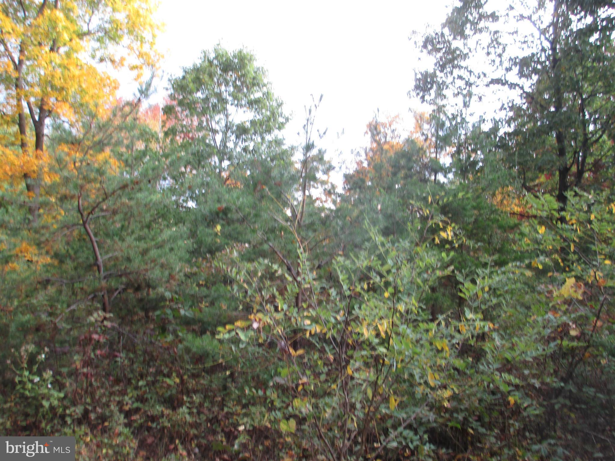 NATHANIEL PARK ESTATES - Land