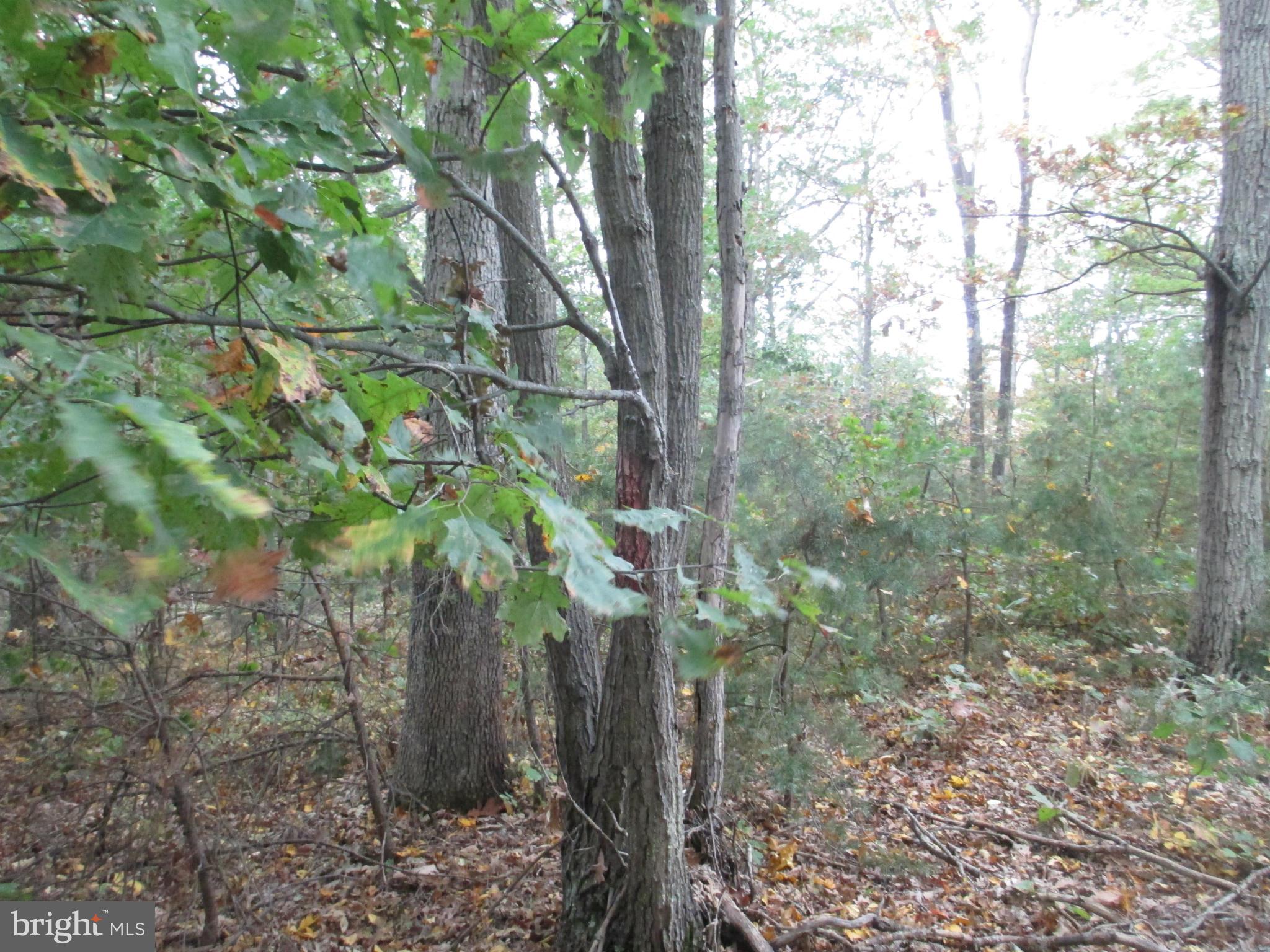 NATHANIEL PARK ESTATES - Land