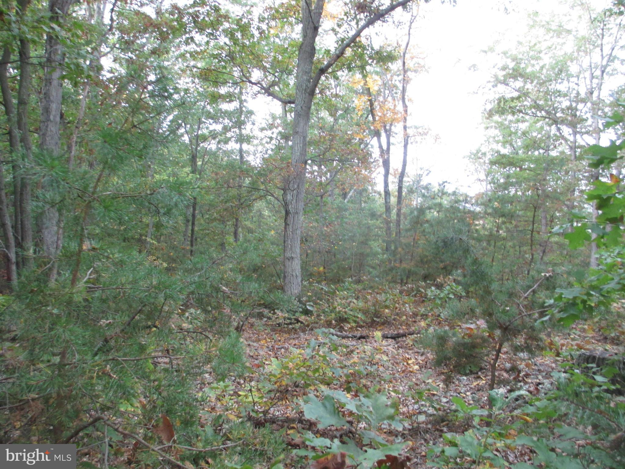 NATHANIEL PARK ESTATES - Land