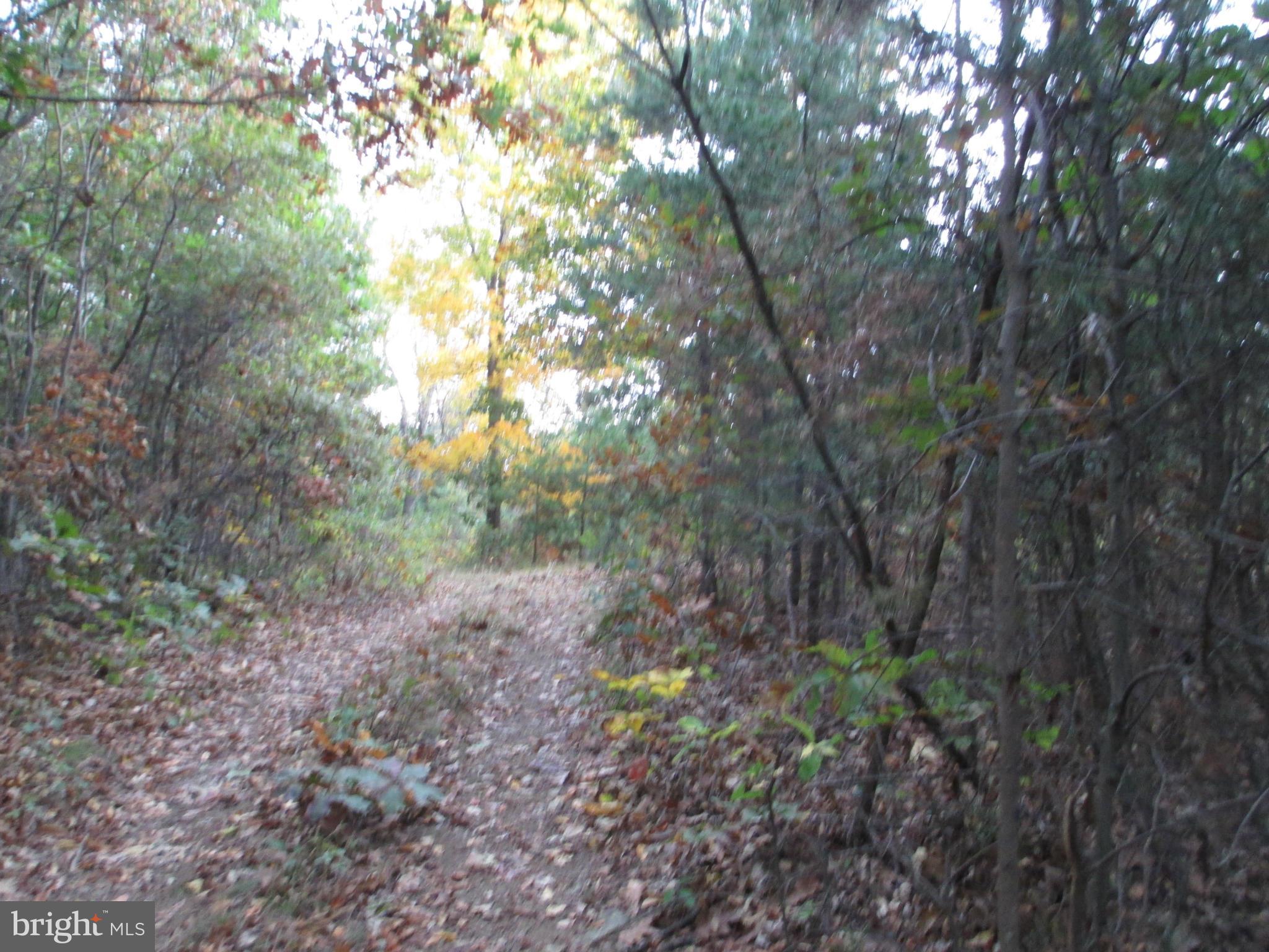 NATHANIEL PARK ESTATES - Land