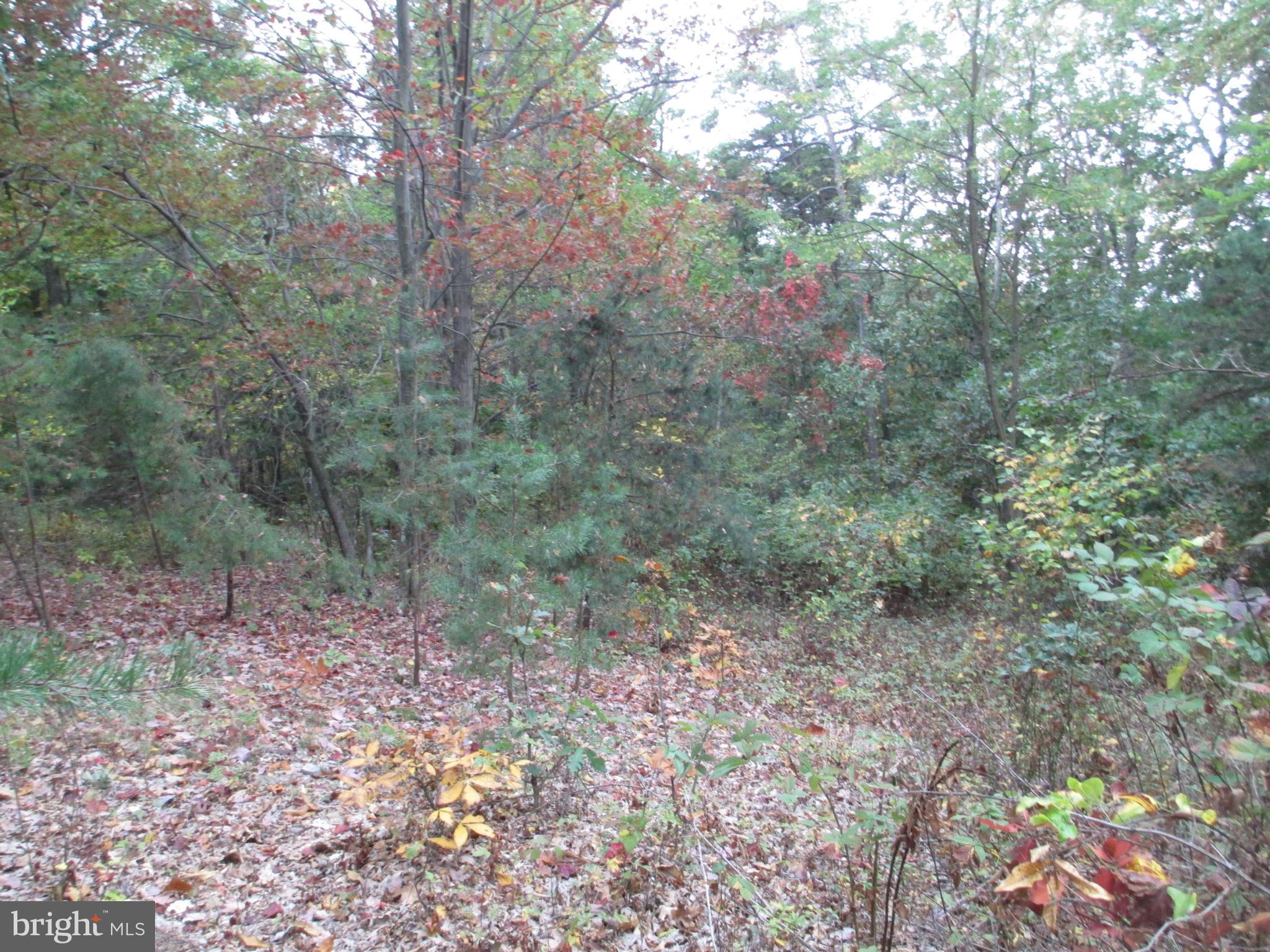 NATHANIEL PARK ESTATES - Land