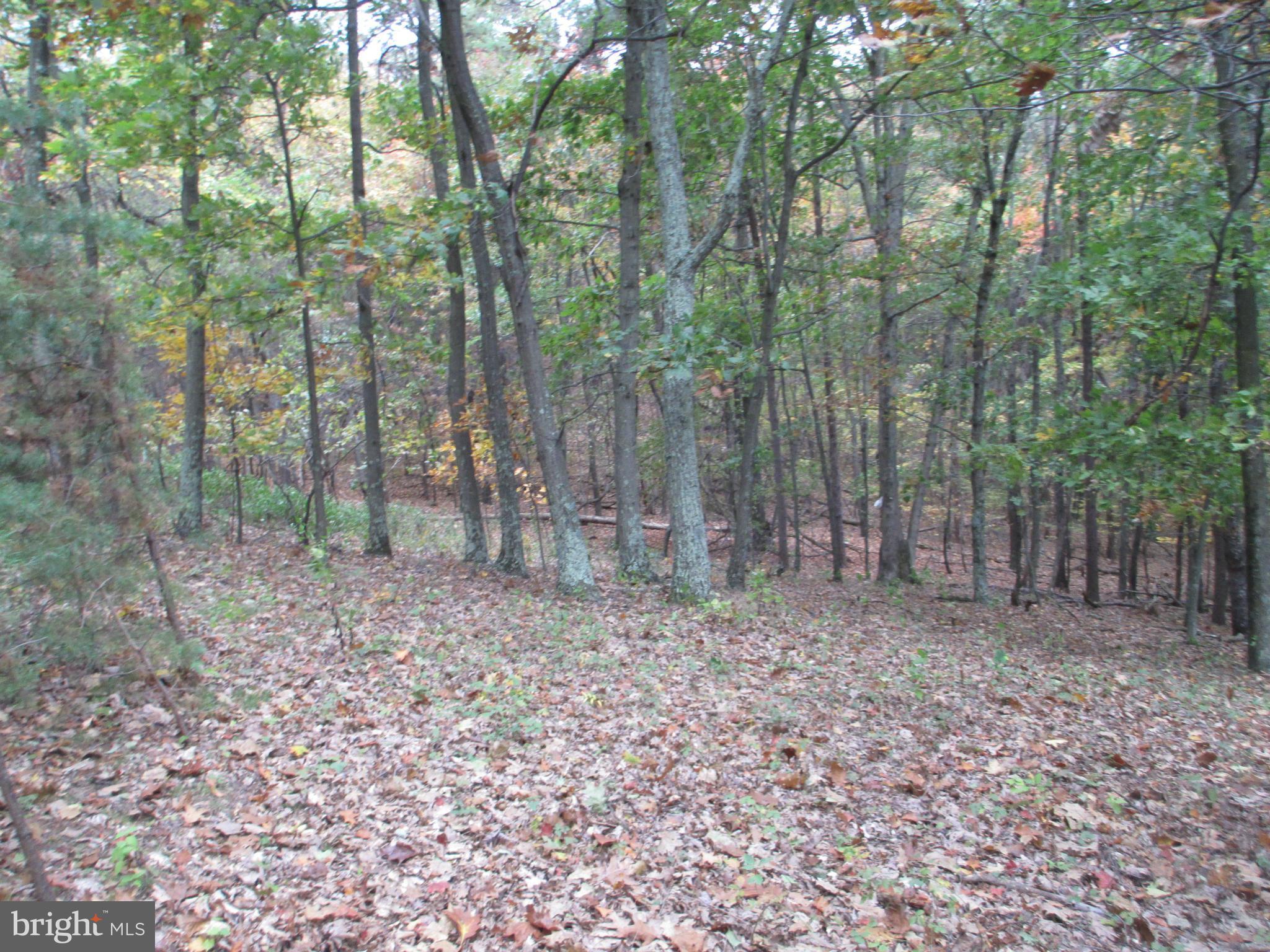 NATHANIEL PARK ESTATES - Land