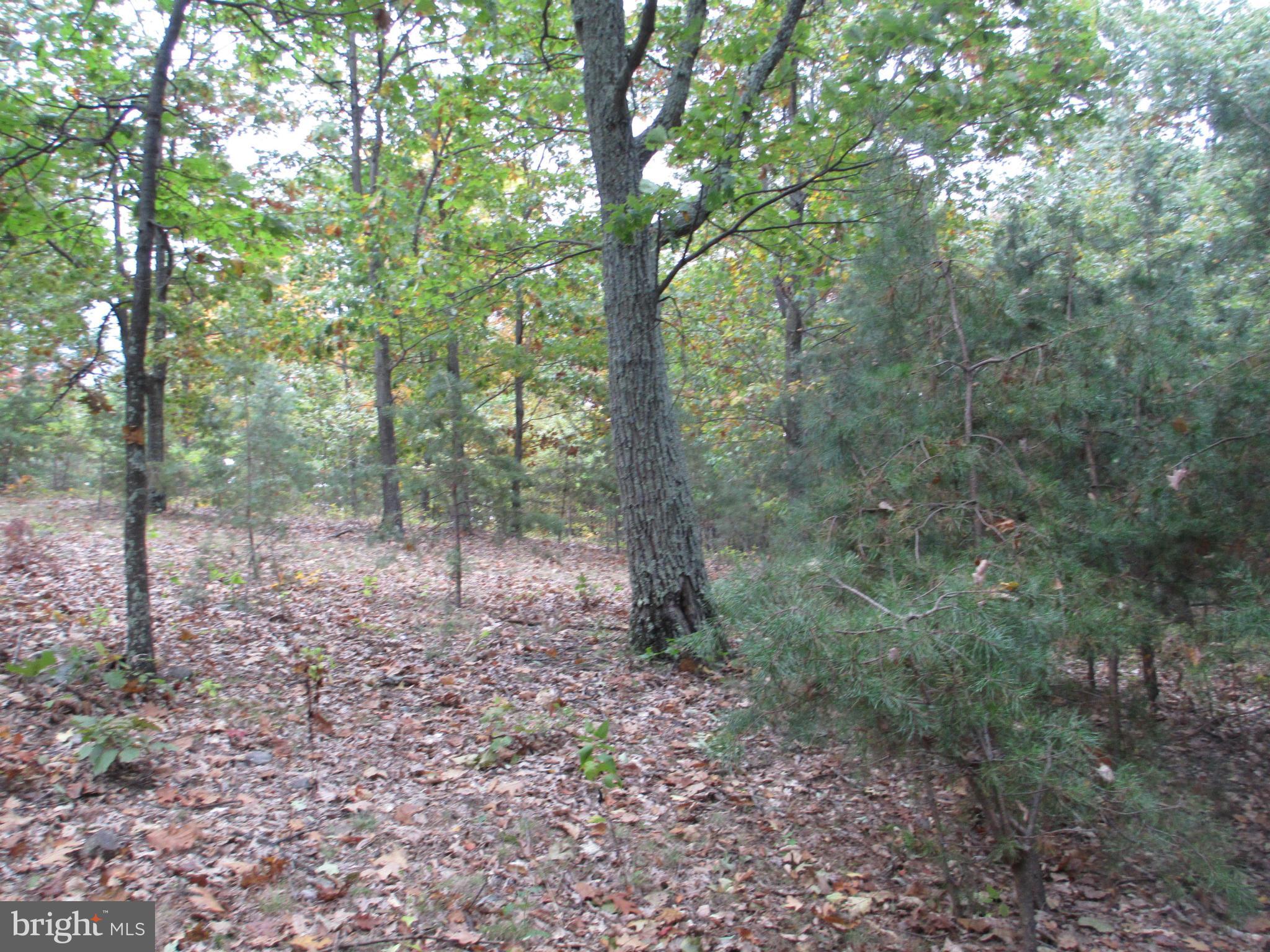 NATHANIEL PARK ESTATES - Land