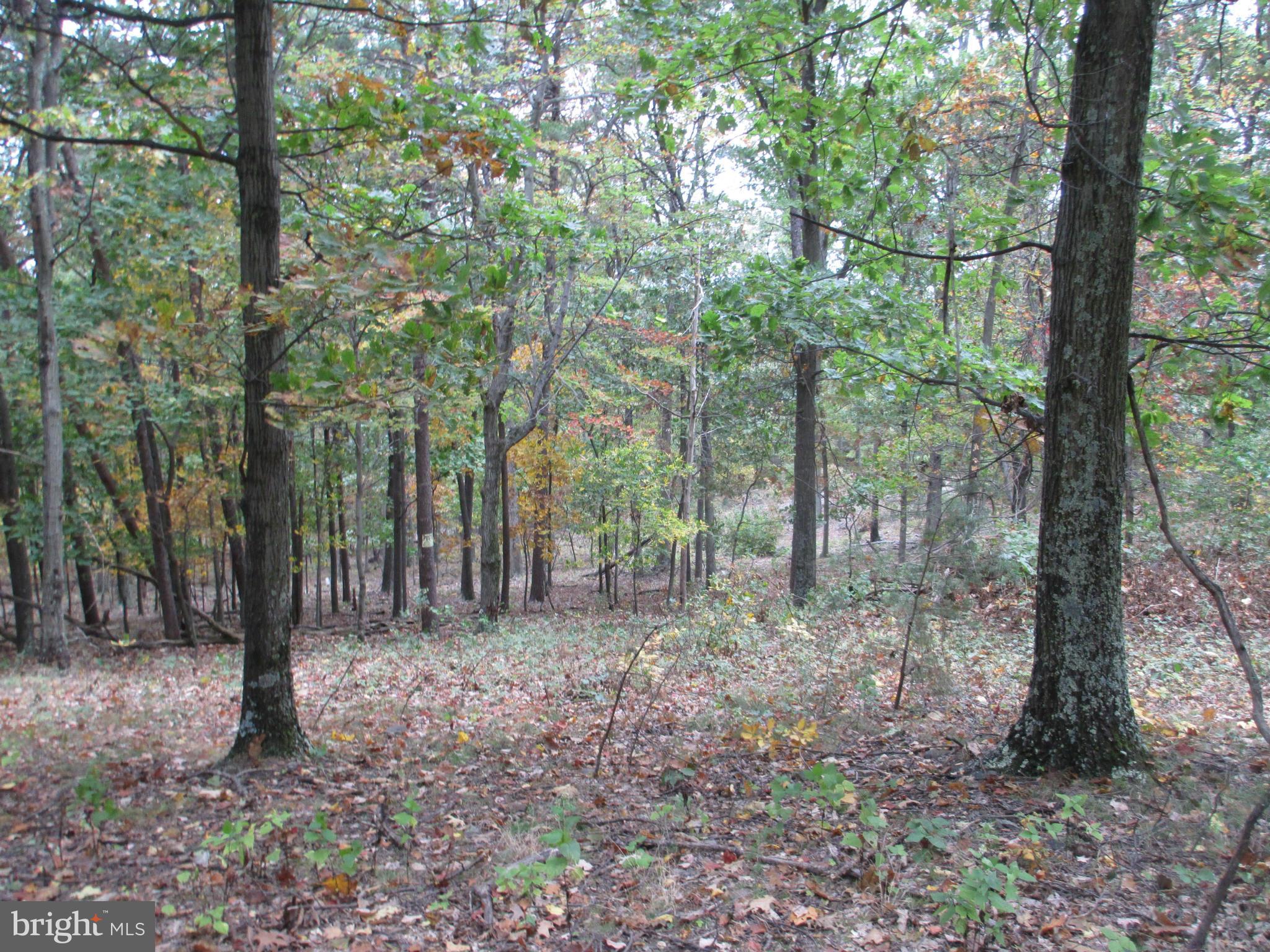 NATHANIEL PARK ESTATES - Land