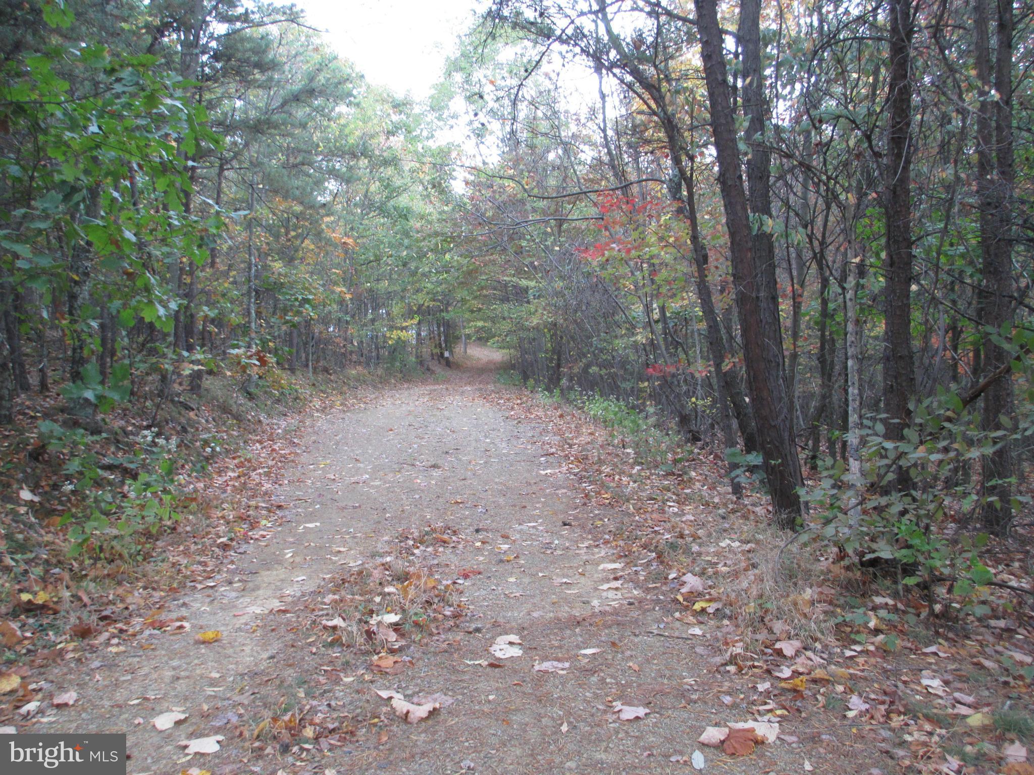 NATHANIEL PARK ESTATES - Land