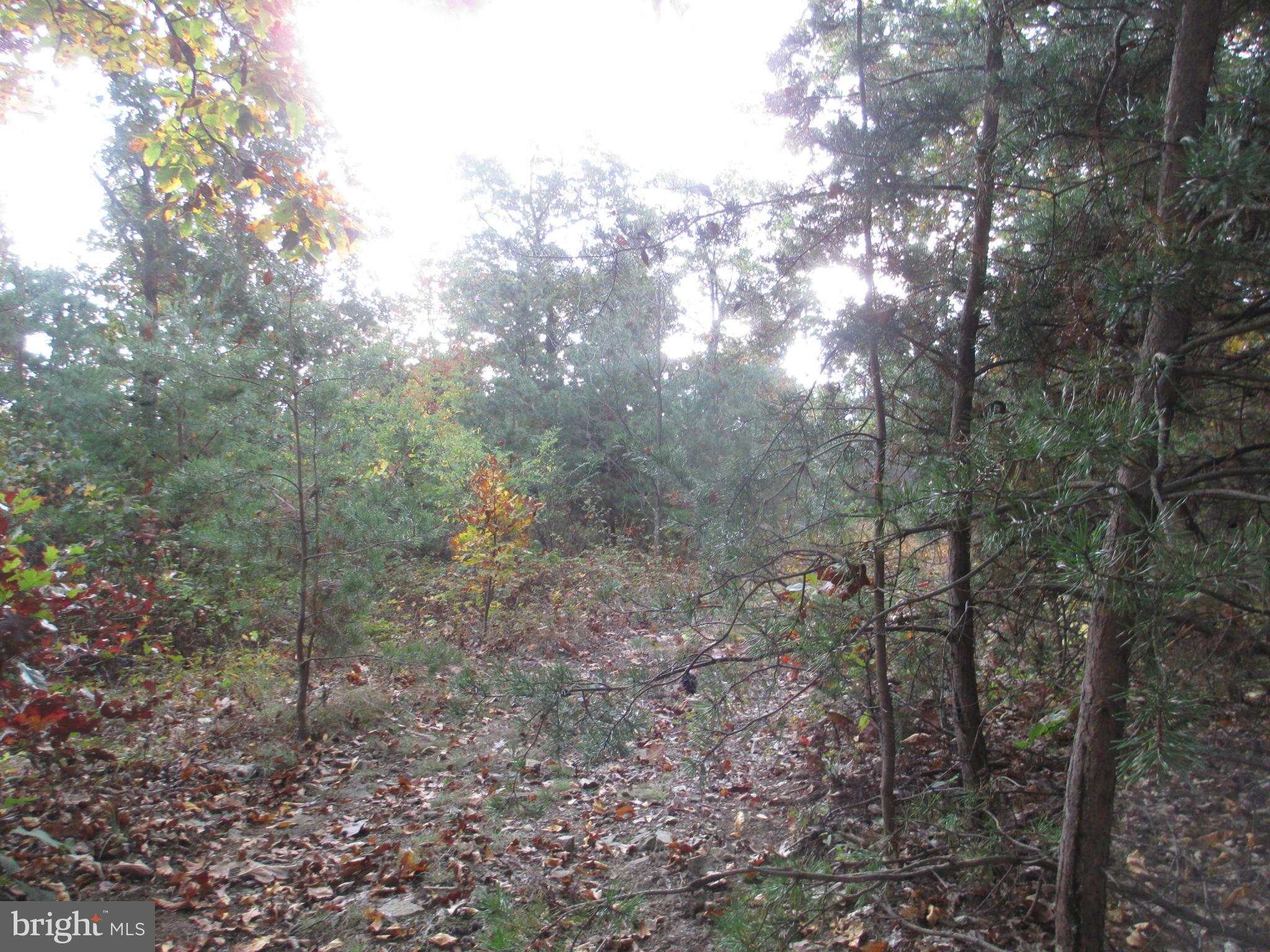 NATHANIEL PARK ESTATES - Land