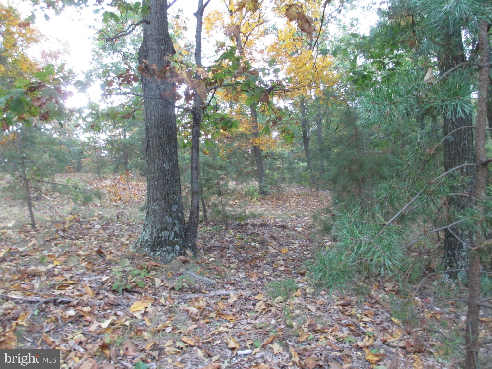 NATHANIEL PARK ESTATES - Land