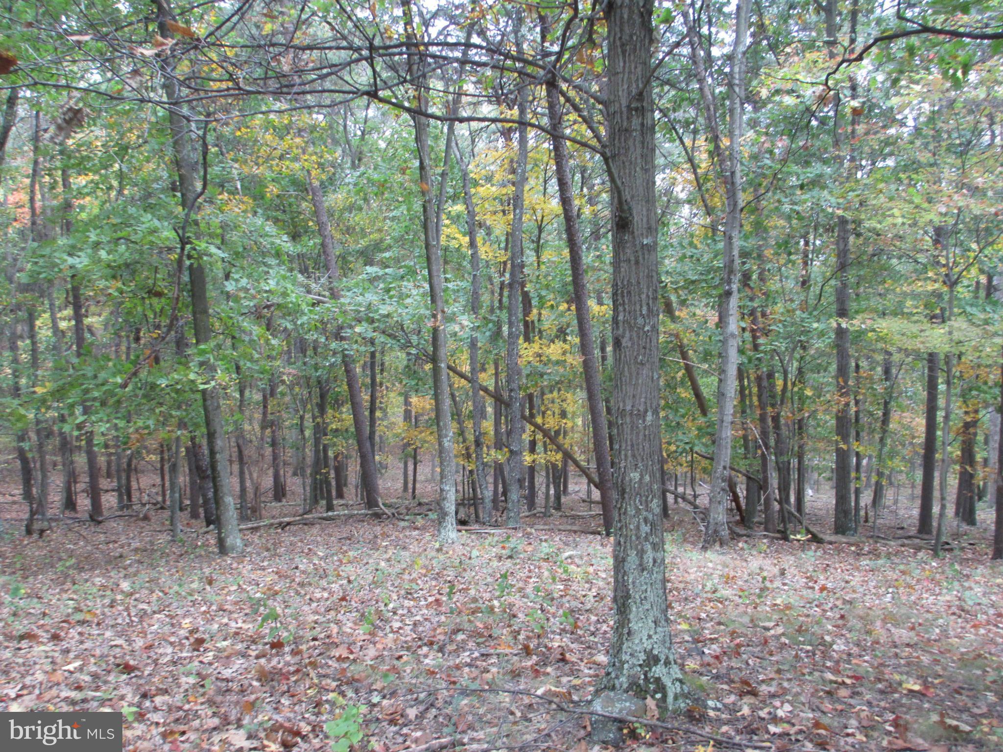 NATHANIEL PARK ESTATES - Land