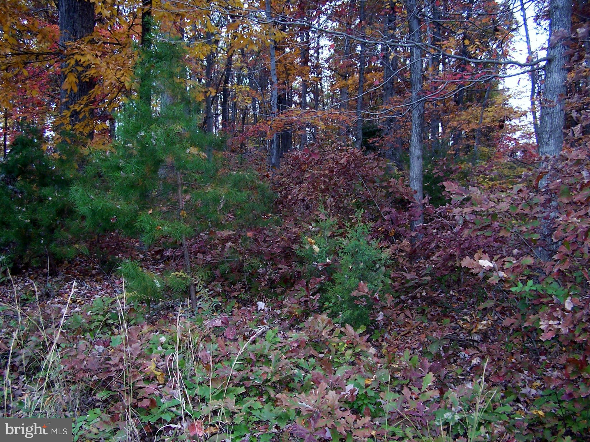 O'BANNON - Residential Lease