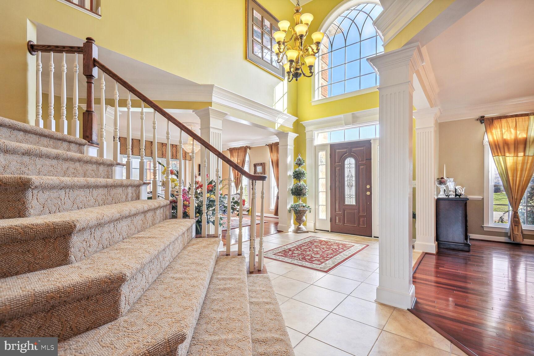 ELK LICK ESTATES - Residential