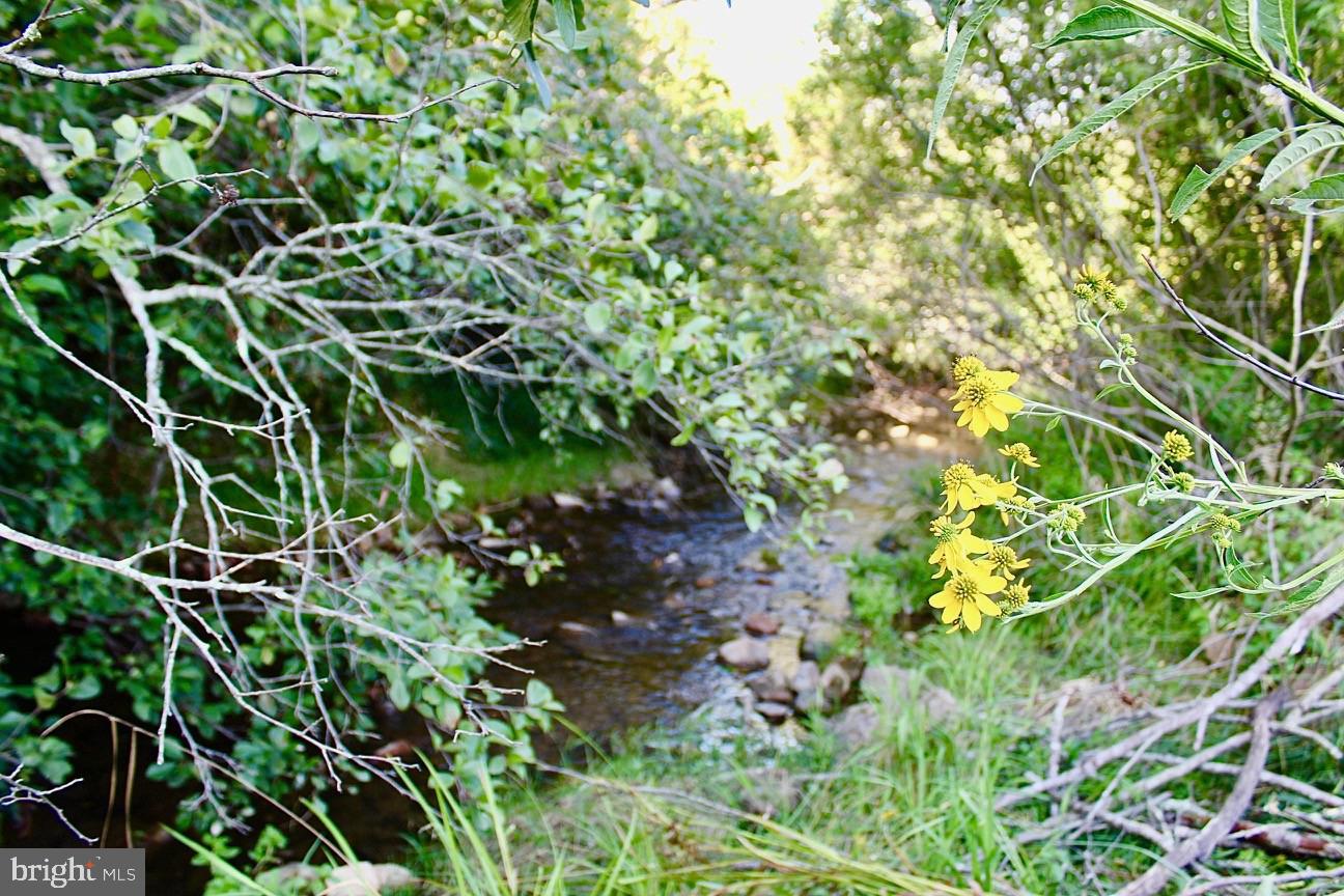 BLACKTHORN MOUNTAIN ESTATES - Residential