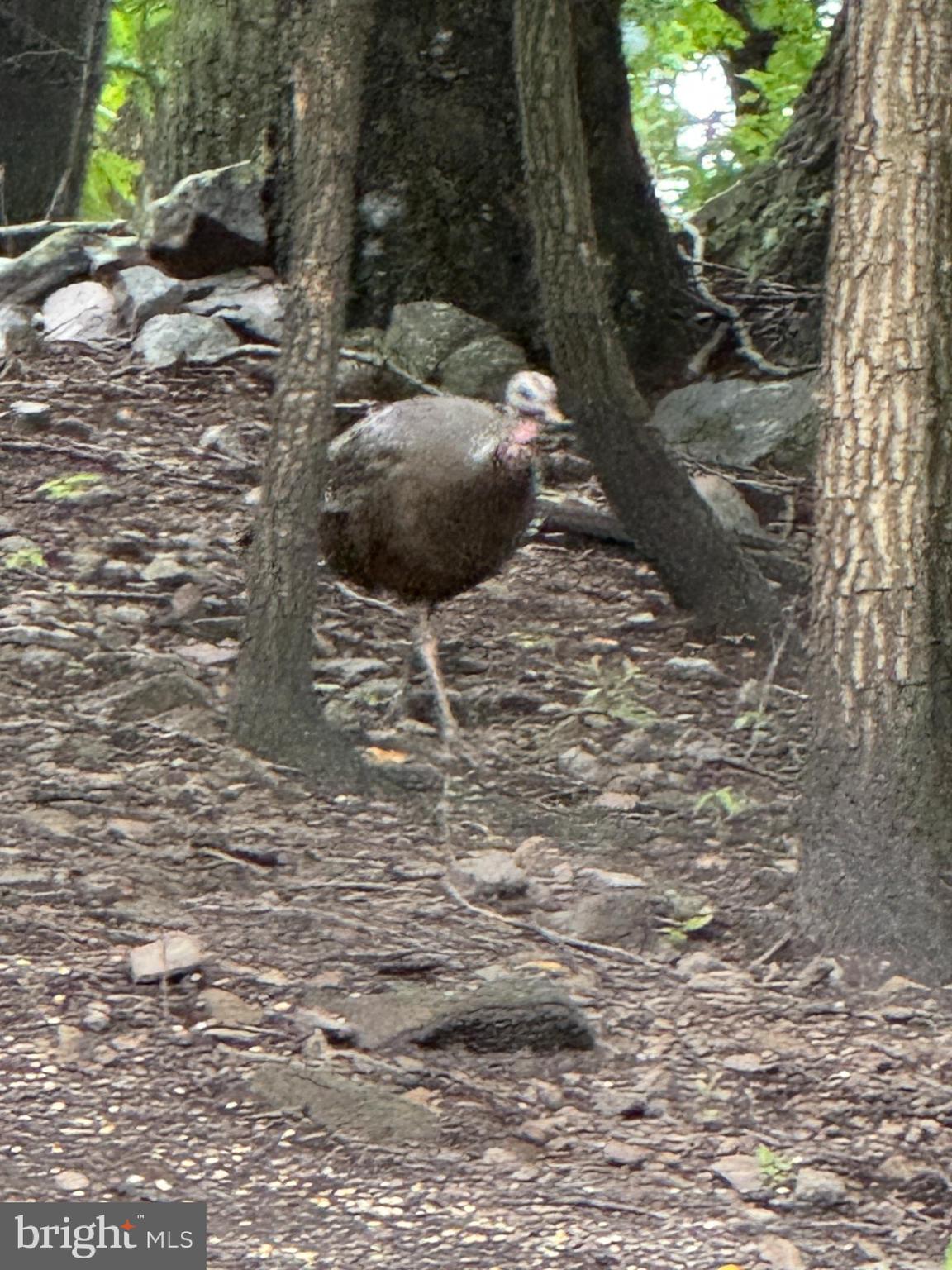 SLEEPY HOLLOW SUBDIVISION - Residential