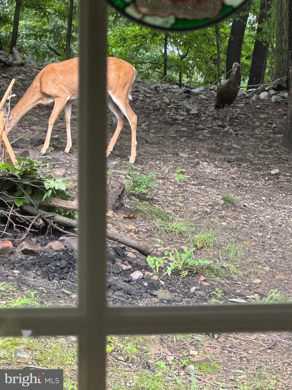 SLEEPY HOLLOW SUBDIVISION - Residential